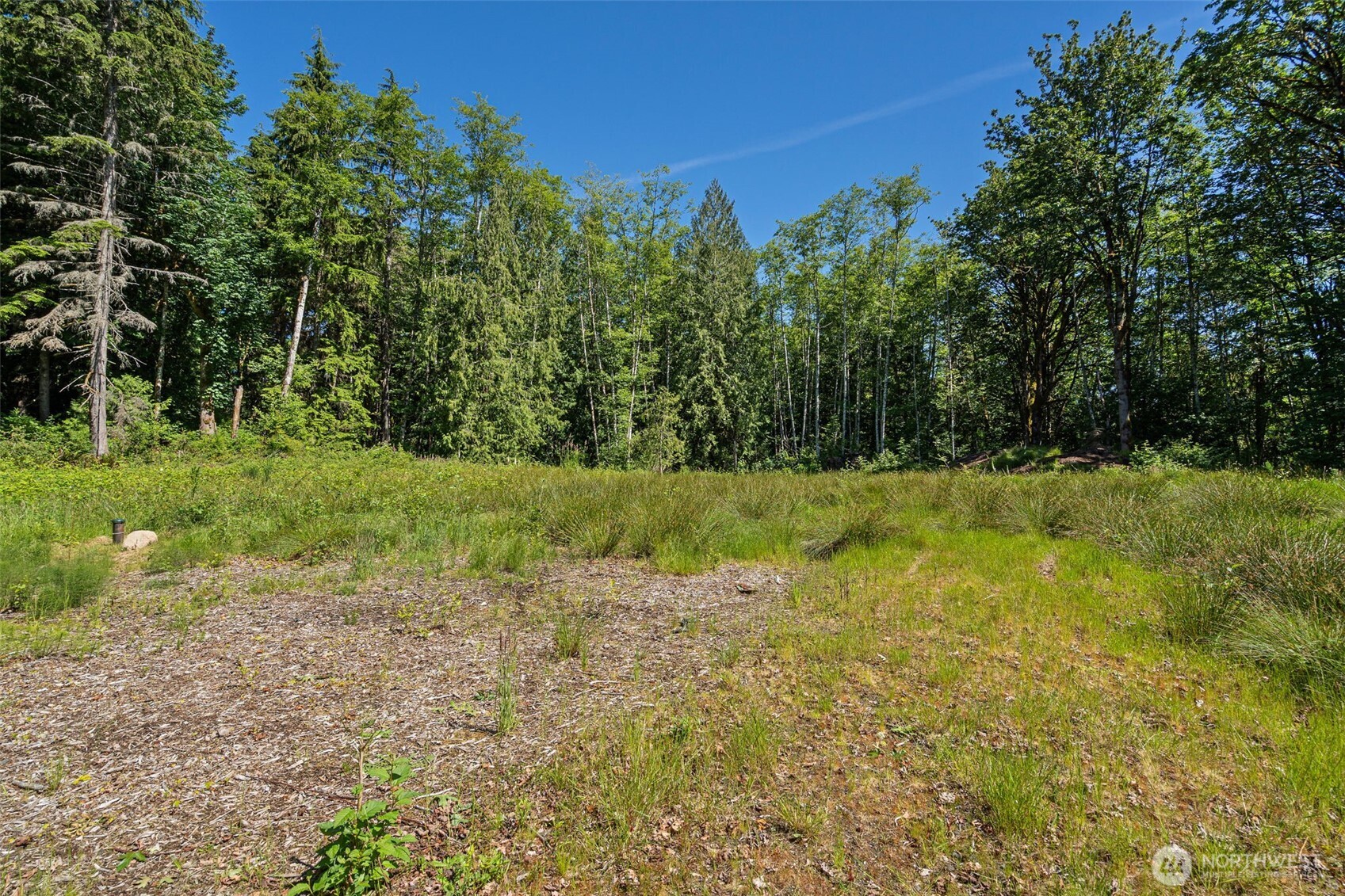 4635 Forest View Lane Property Photo 2