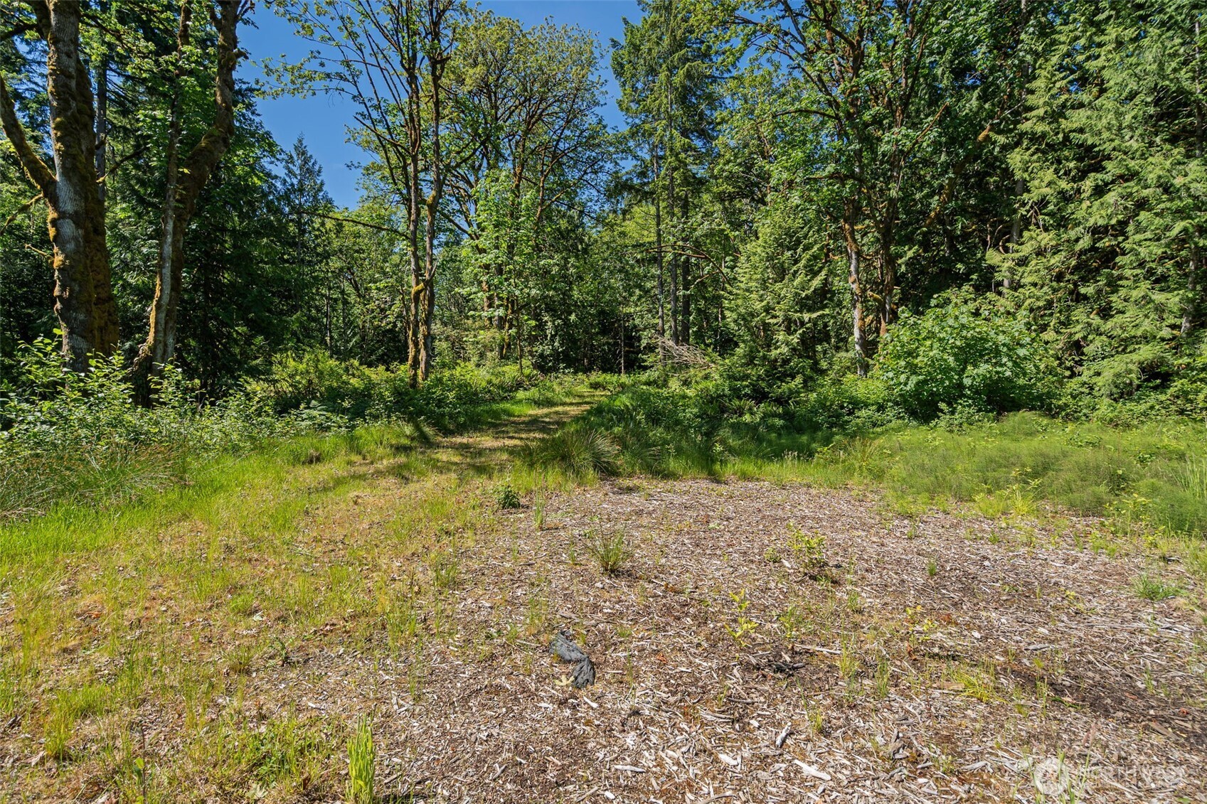 4635 Forest View Lane Property Photo 3