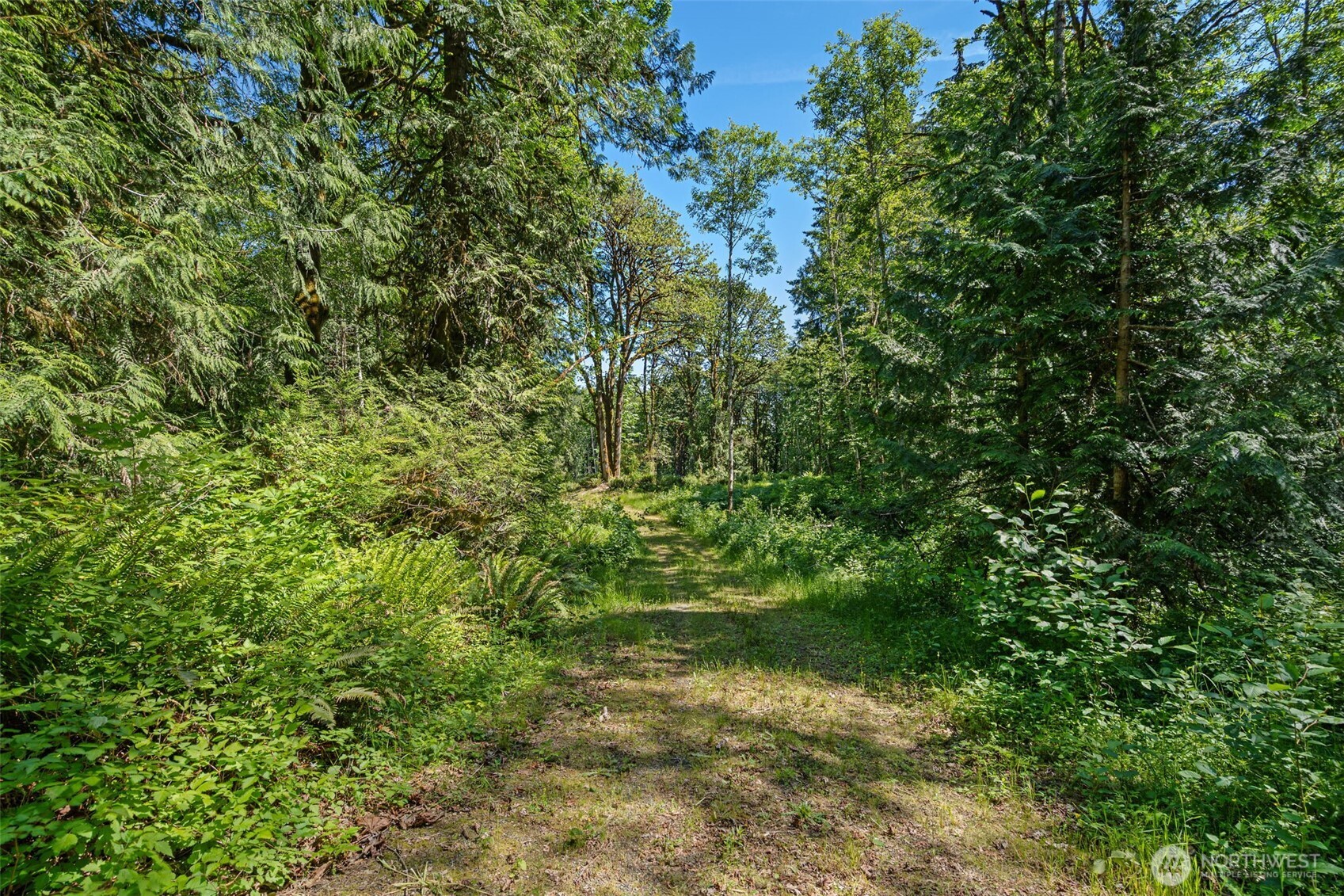 4635 Forest View Lane Property Photo 6