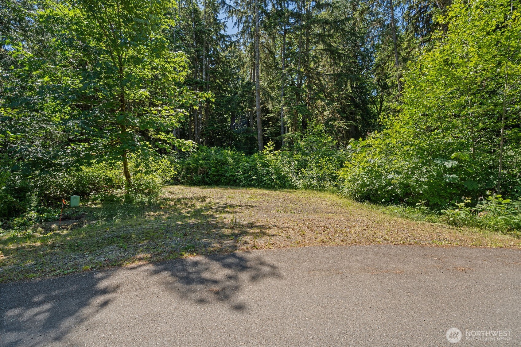 4635 Forest View Lane Property Photo 7