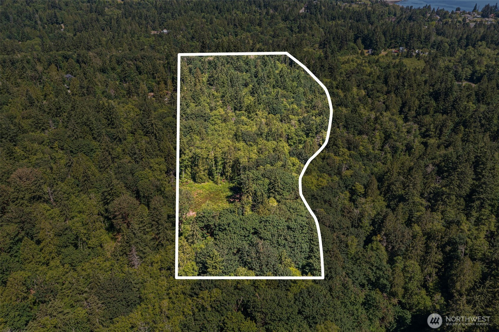 4635 Forest View Lane Property Photo 8