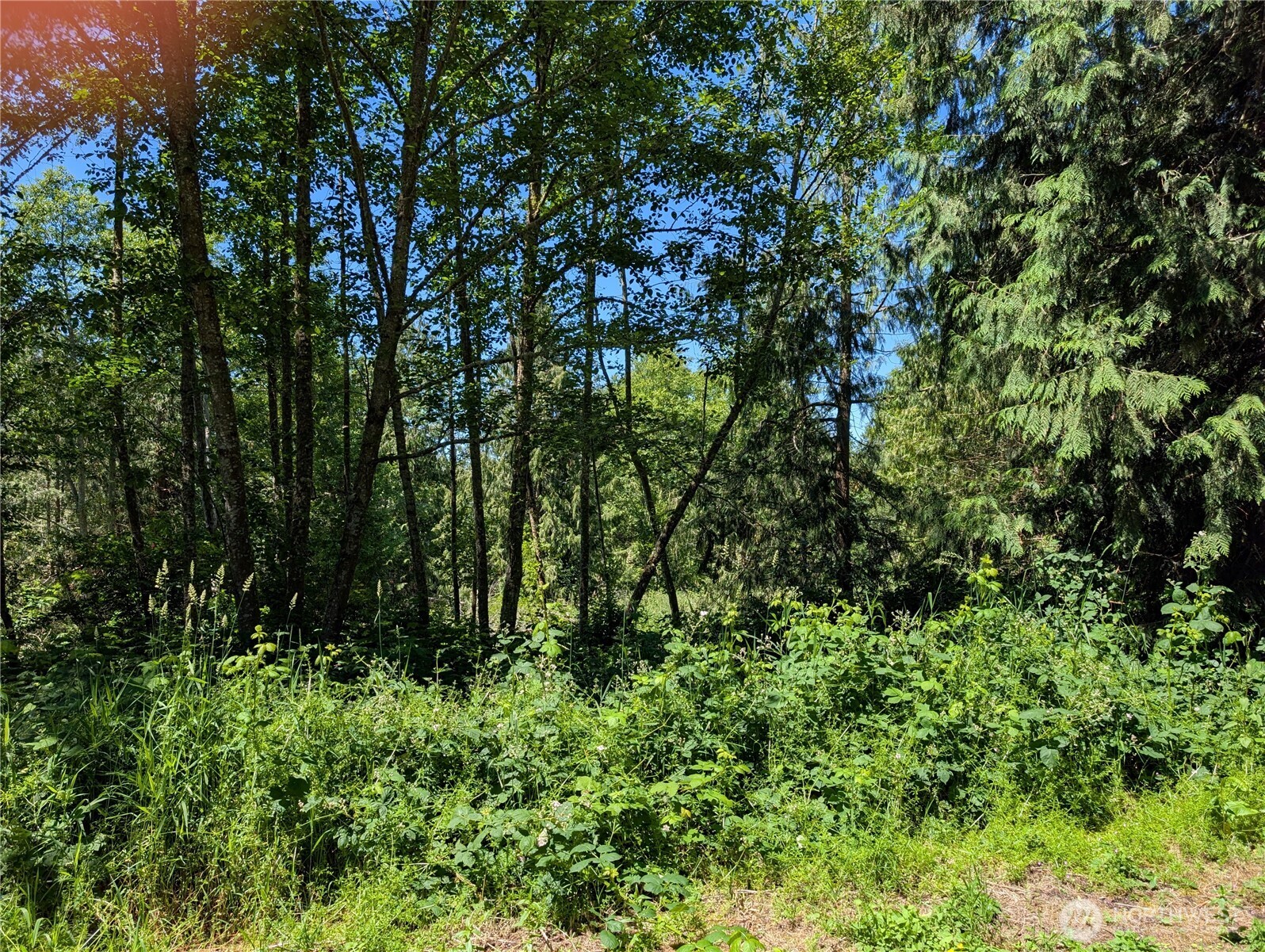 21660 Snowden Drive Property Photo 2