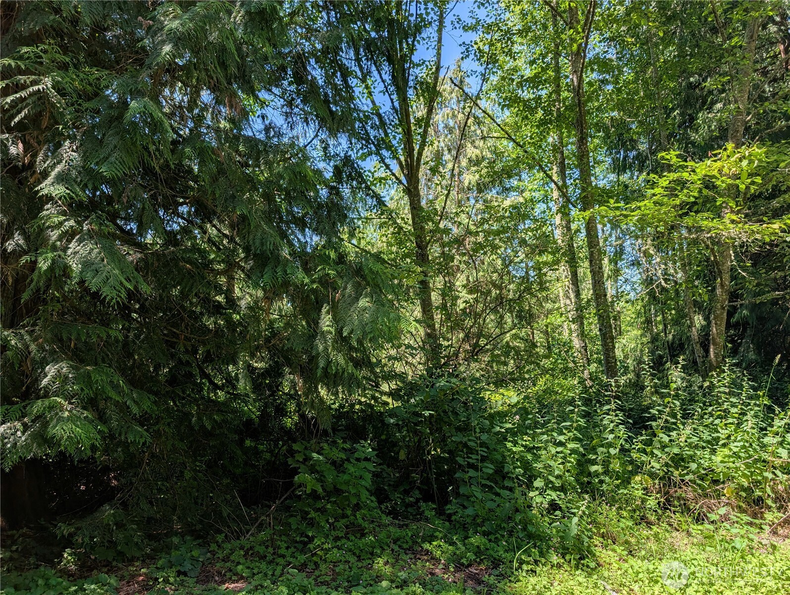 21660 Snowden Drive Property Photo 3