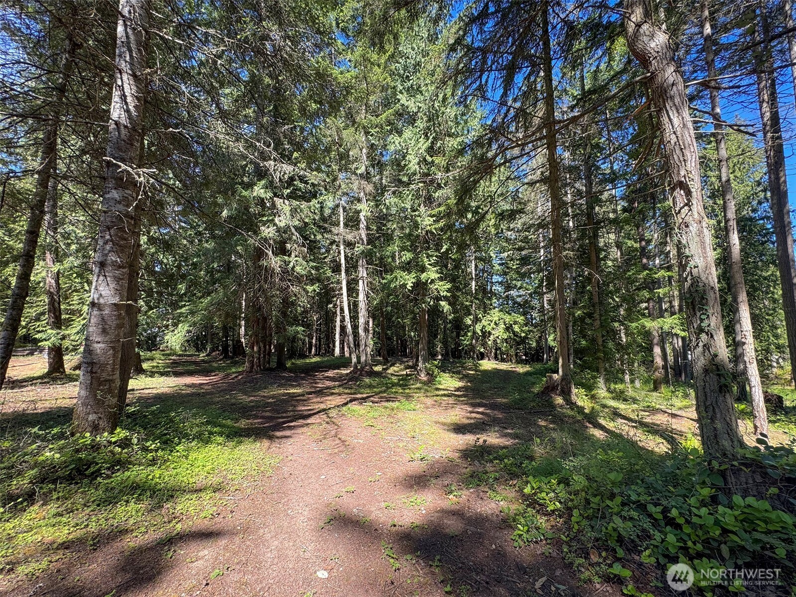 9999 N Bagley Creek Road Property Photo 7