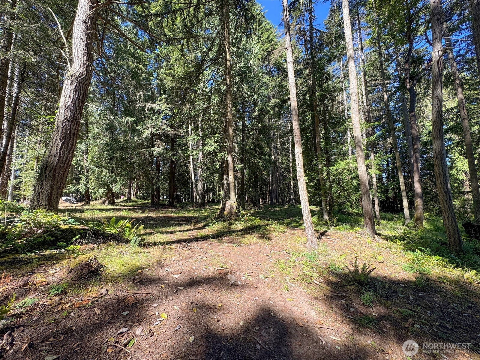 9999 N Bagley Creek Road Property Photo 9