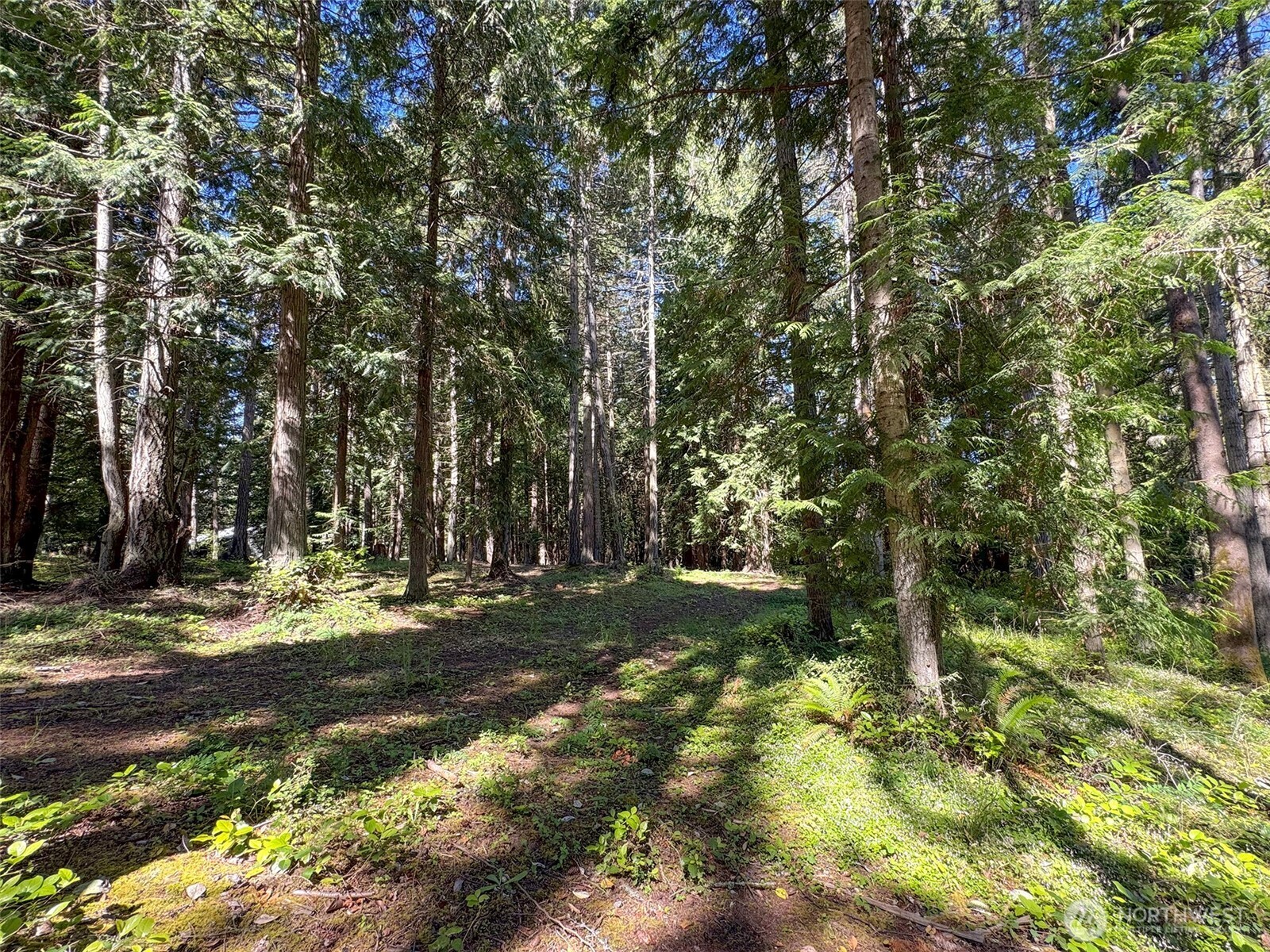 9999 N Bagley Creek Road Property Photo 10