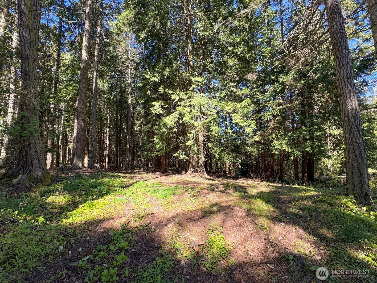 9999 N Bagley Creek Road Property Photo 11
