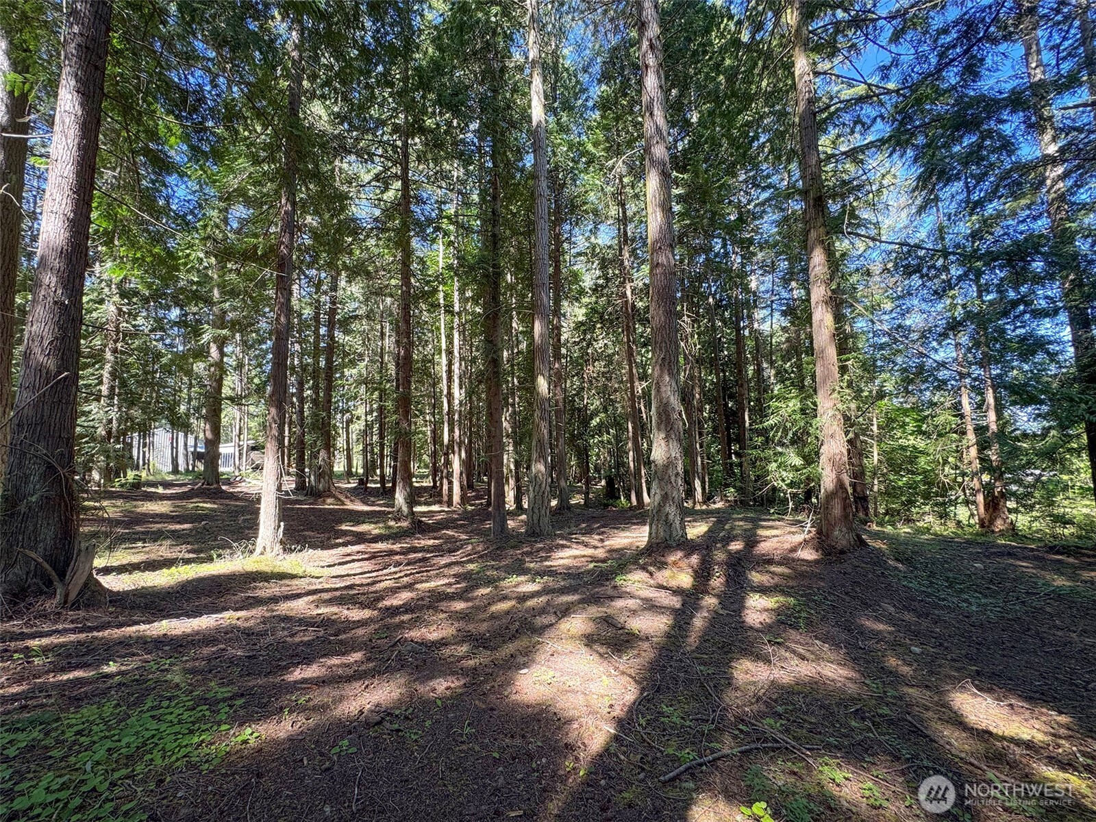 9999 N Bagley Creek Road Property Photo 12