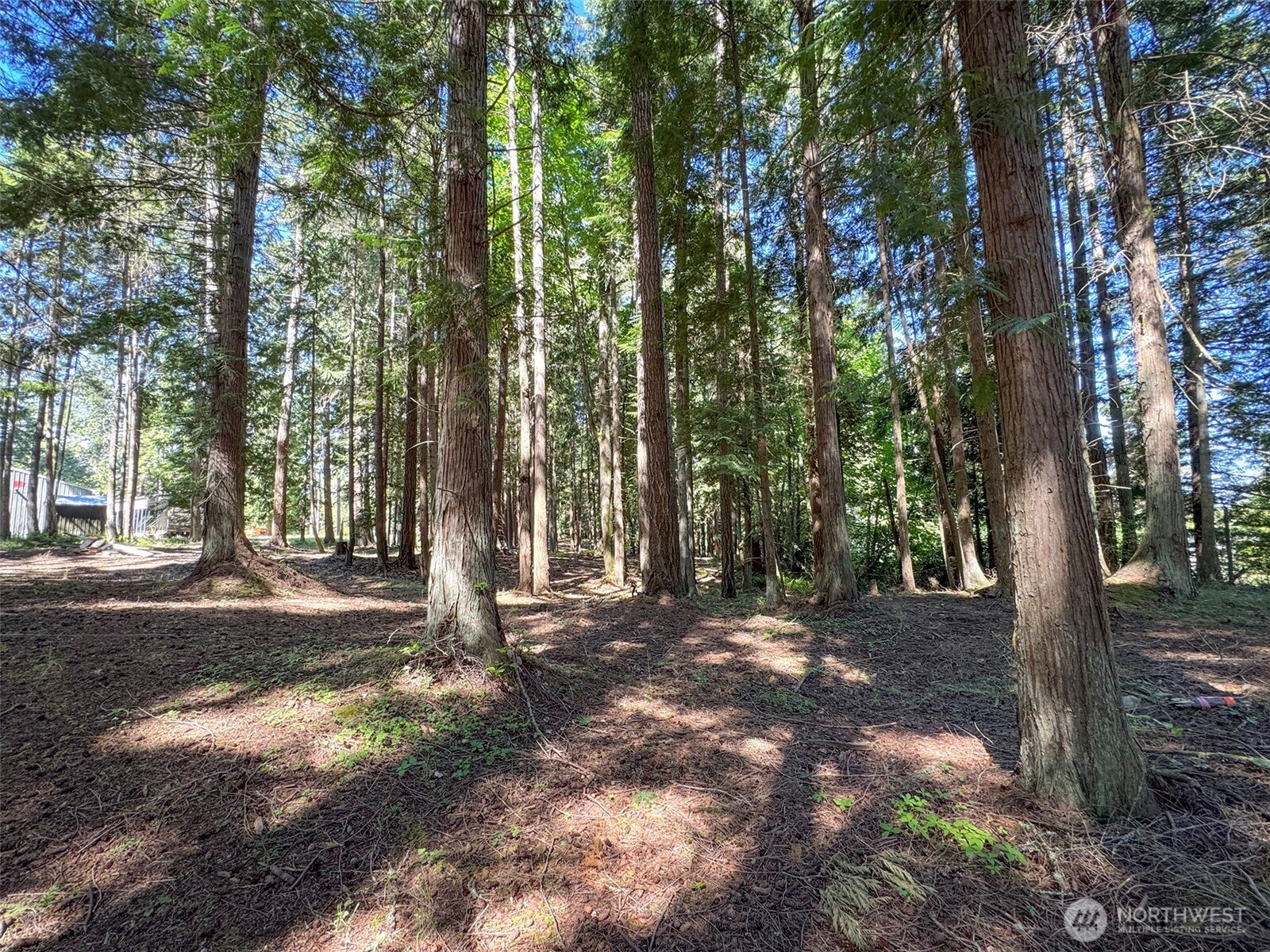 9999 N Bagley Creek Road Property Photo 13