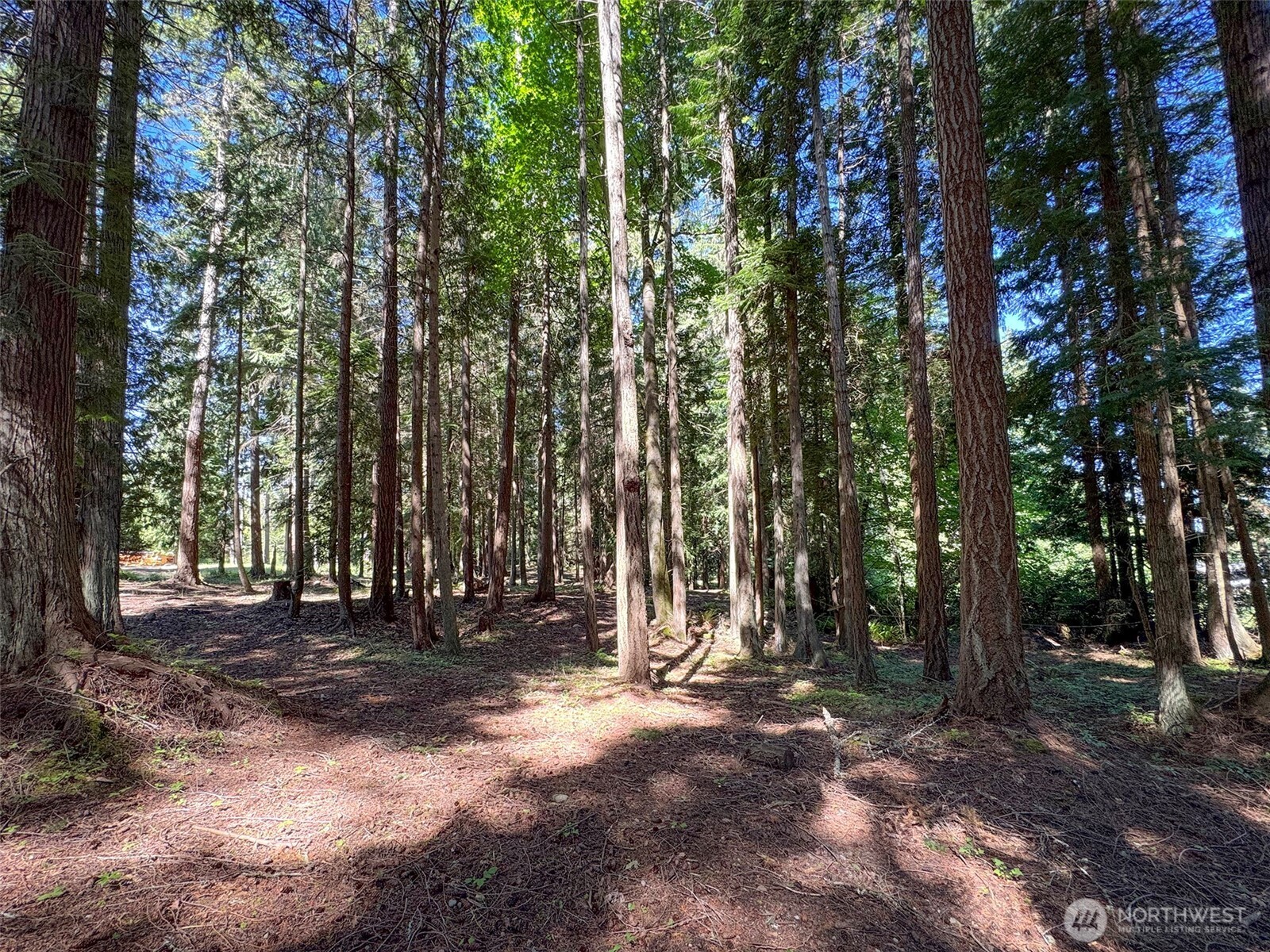 9999 N Bagley Creek Road Property Photo 14