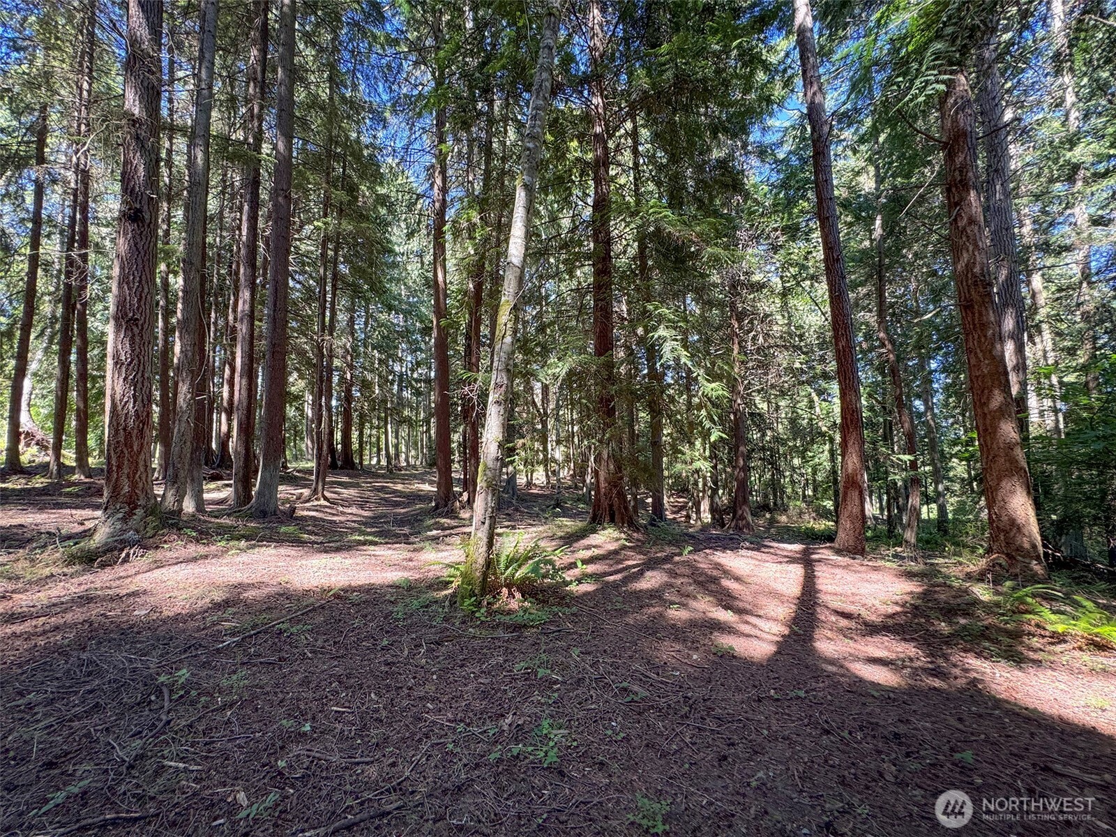 9999 N Bagley Creek Road Property Photo 15