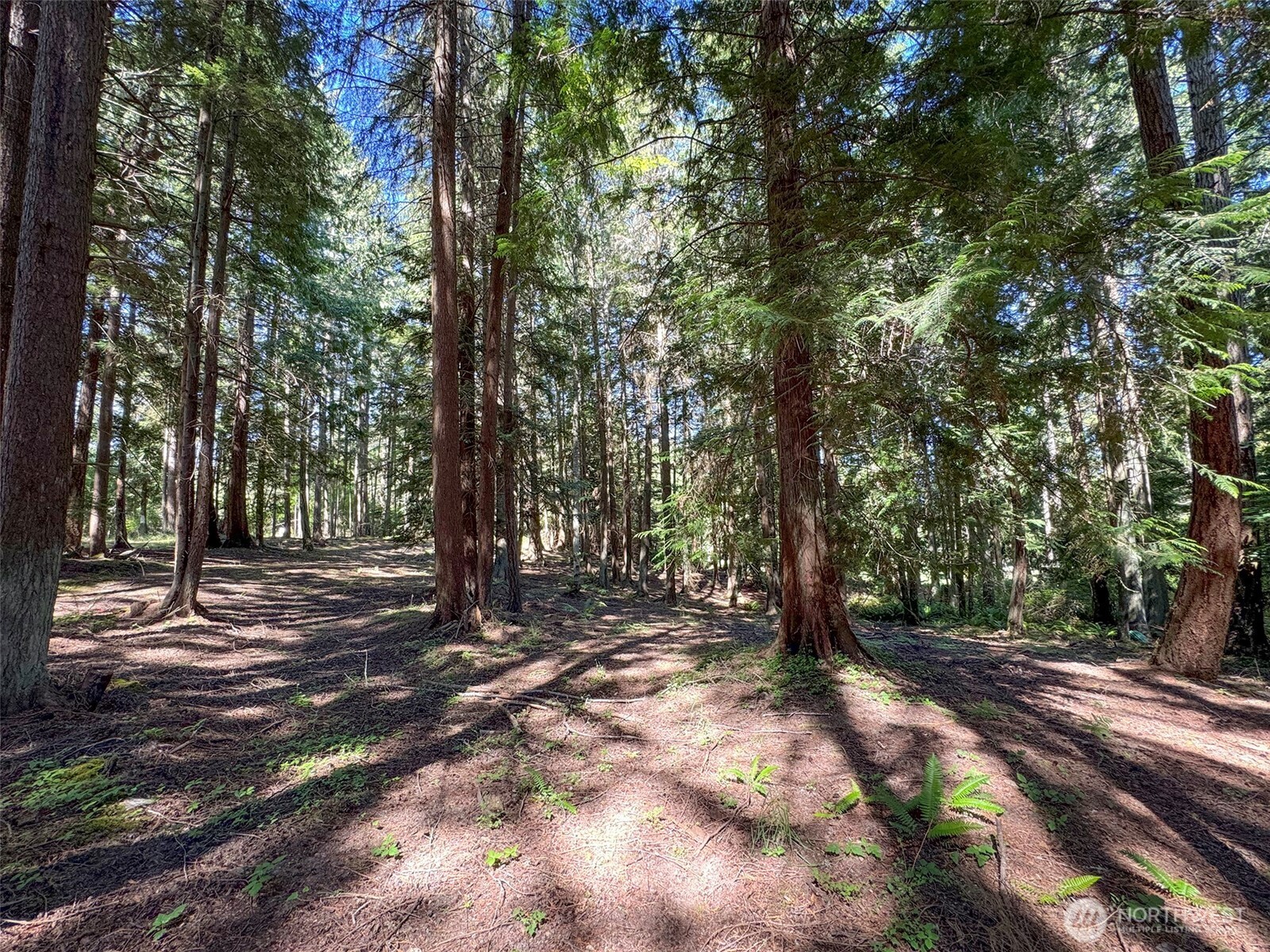 9999 N Bagley Creek Road Property Photo 16