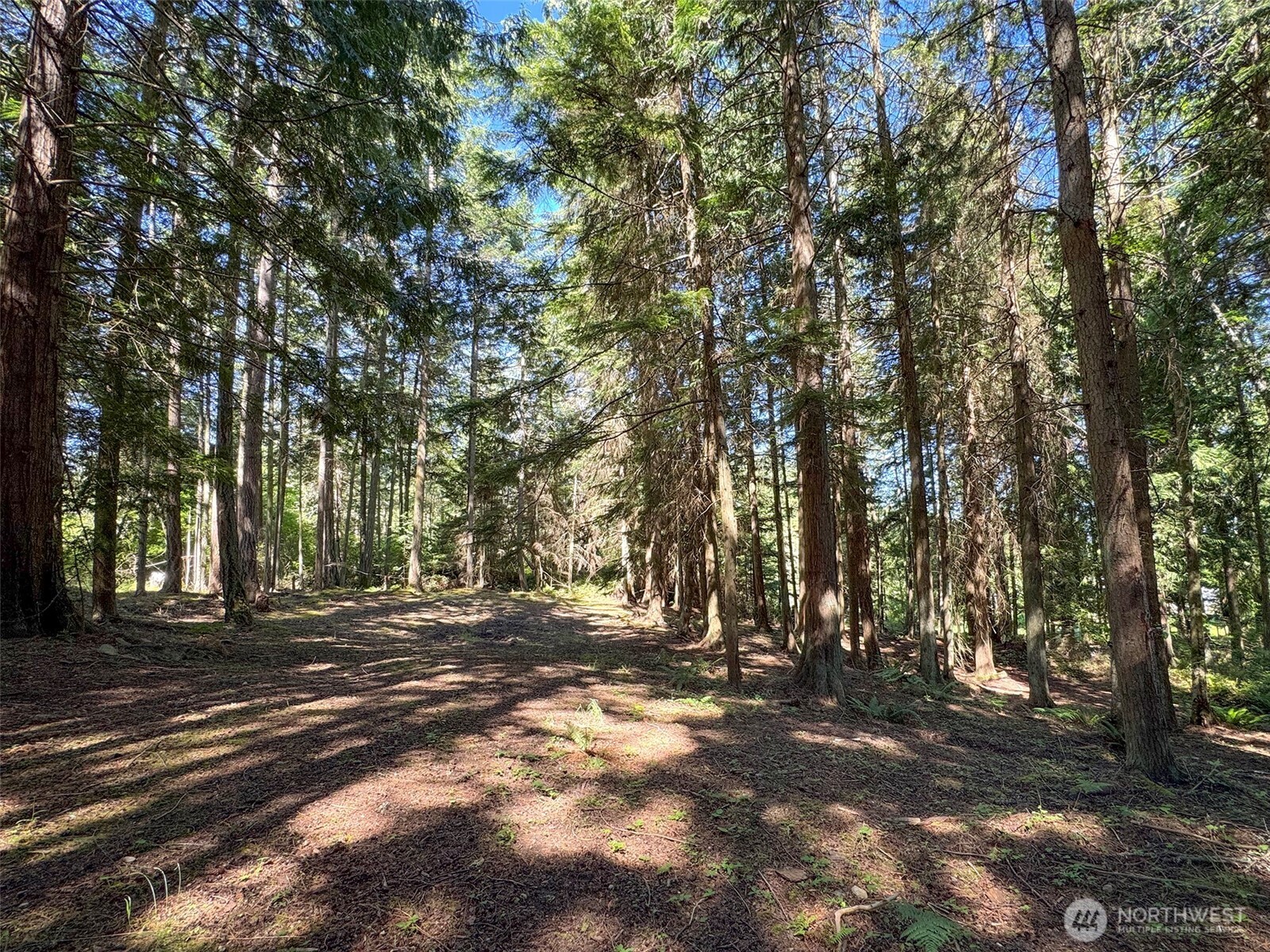 9999 N Bagley Creek Road Property Photo 17