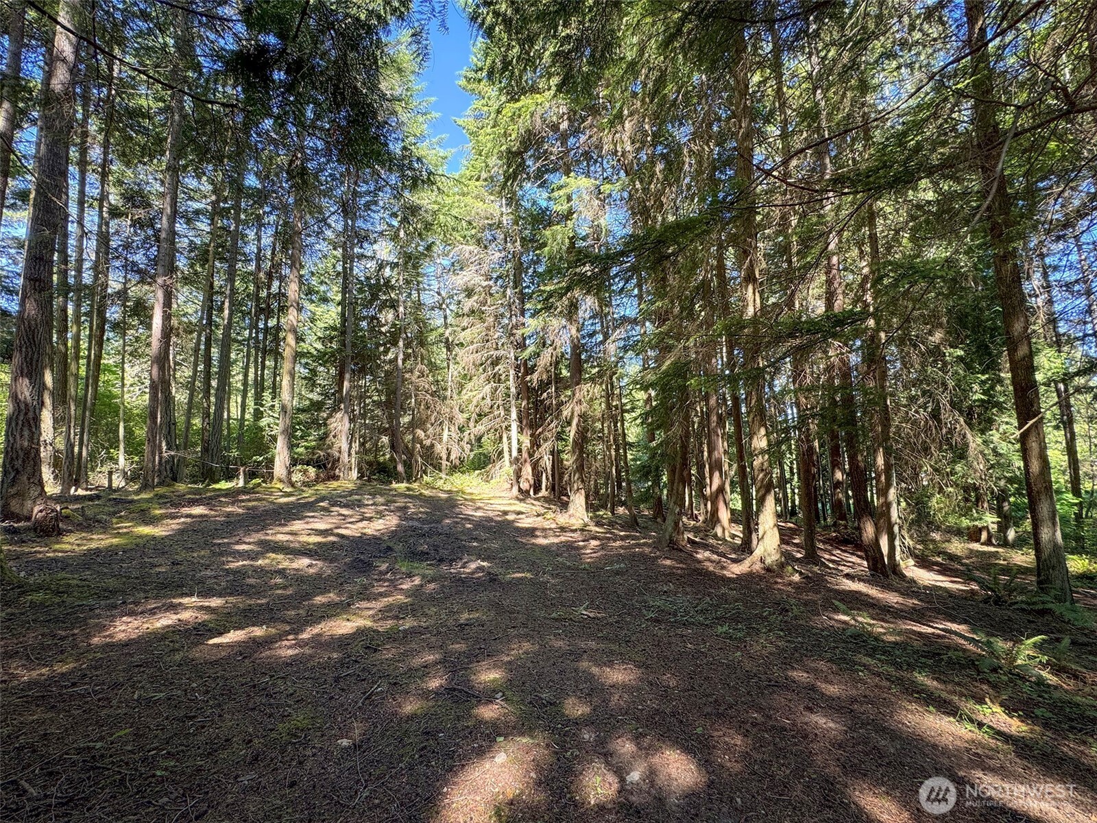 9999 N Bagley Creek Road Property Photo 18
