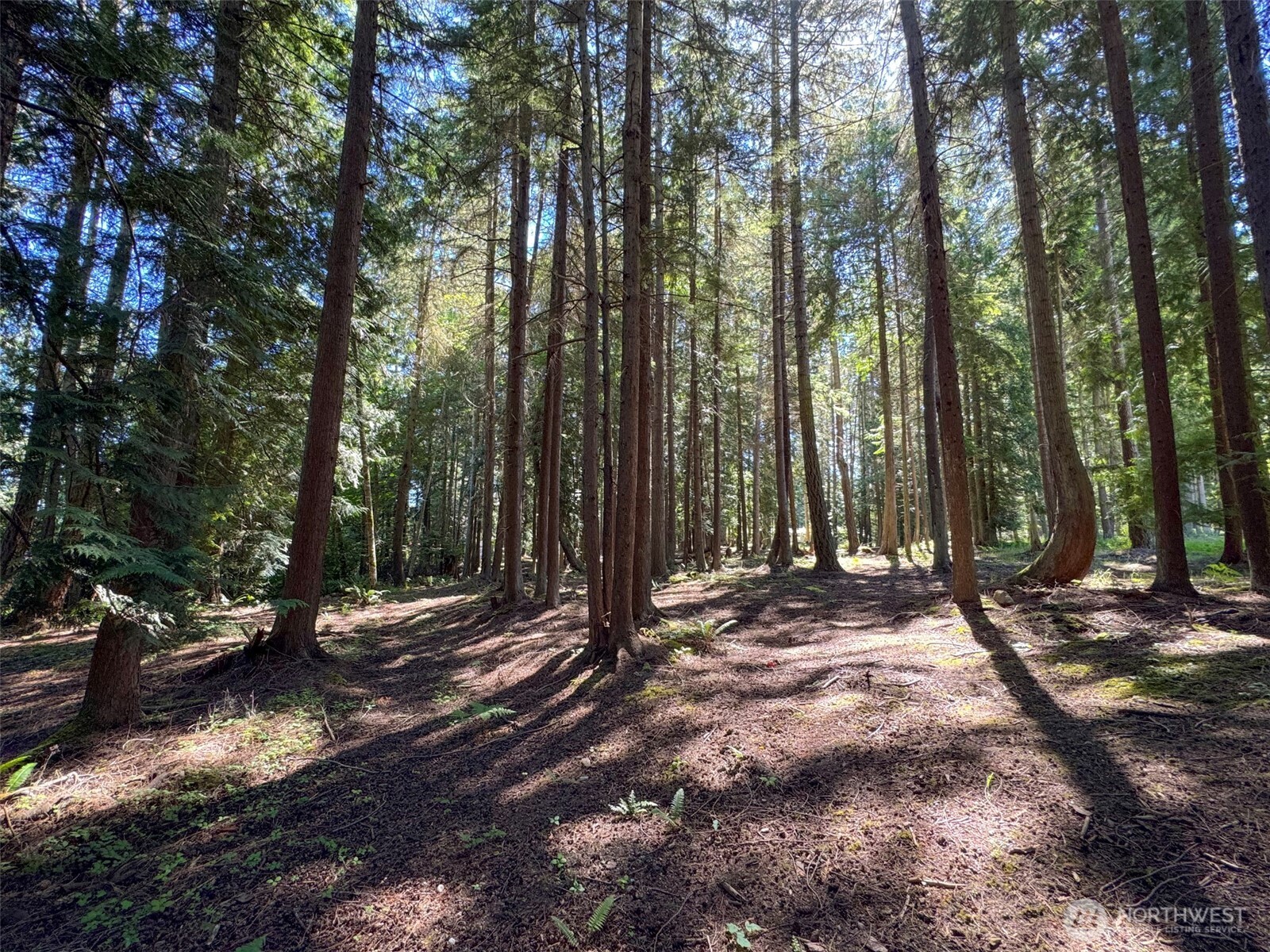 9999 N Bagley Creek Road Property Photo 19