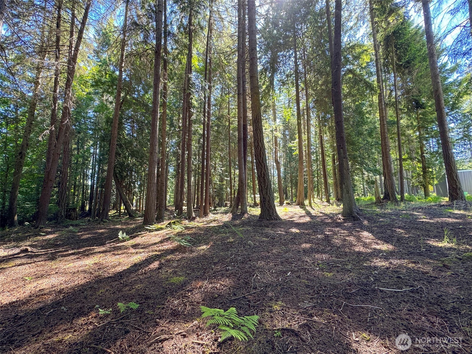9999 N Bagley Creek Road Property Photo 20