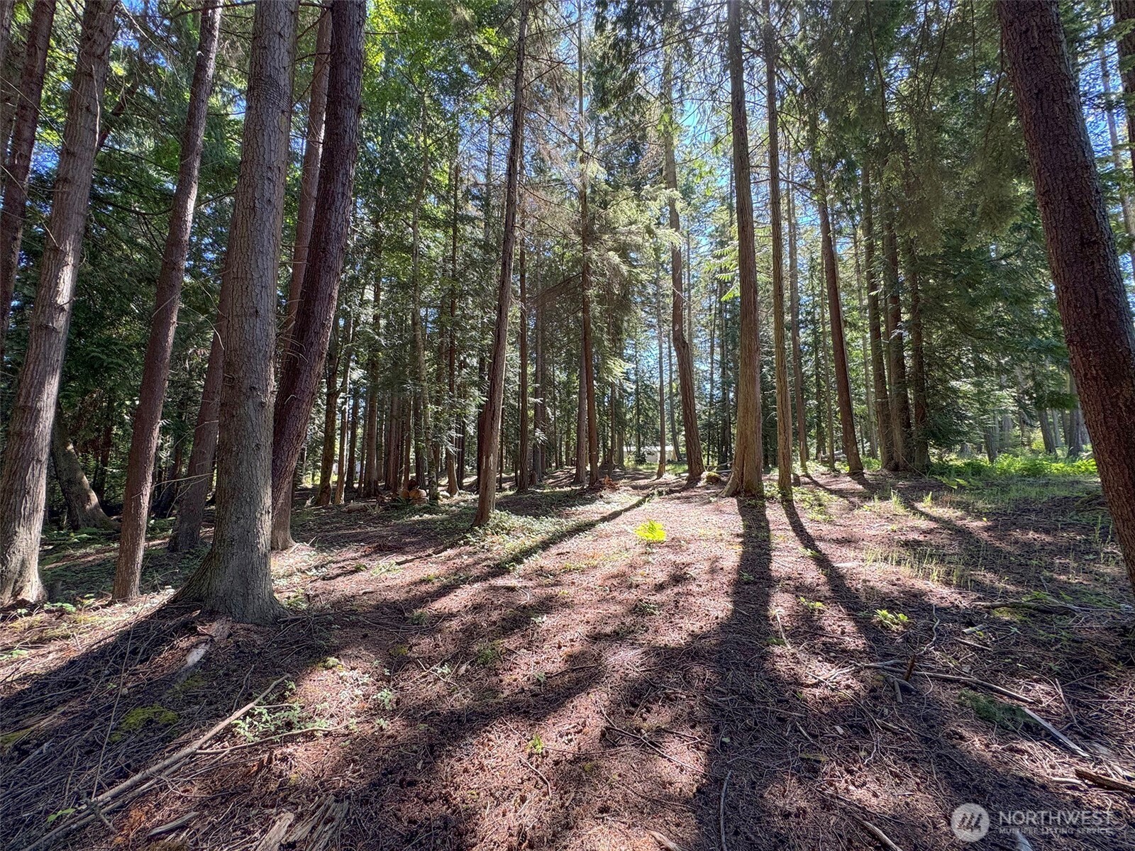 9999 N Bagley Creek Road Property Photo 21
