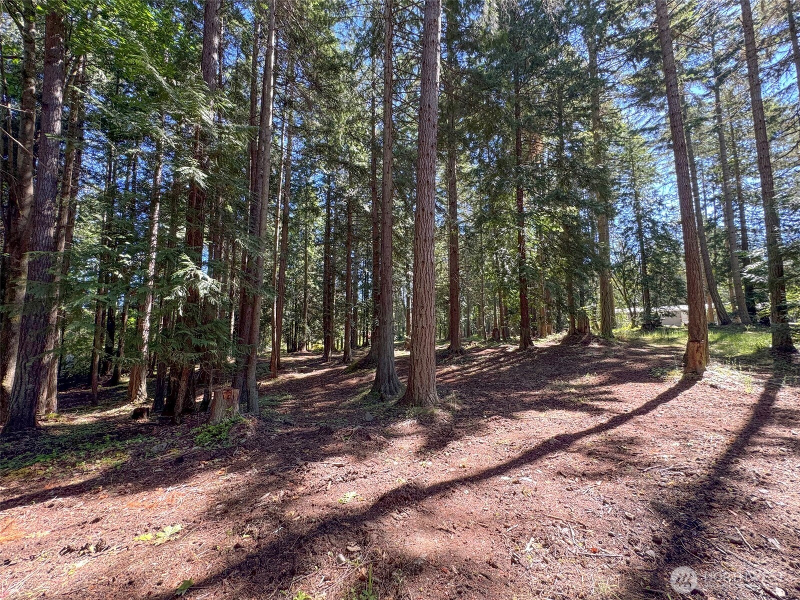 9999 N Bagley Creek Road Property Photo 22