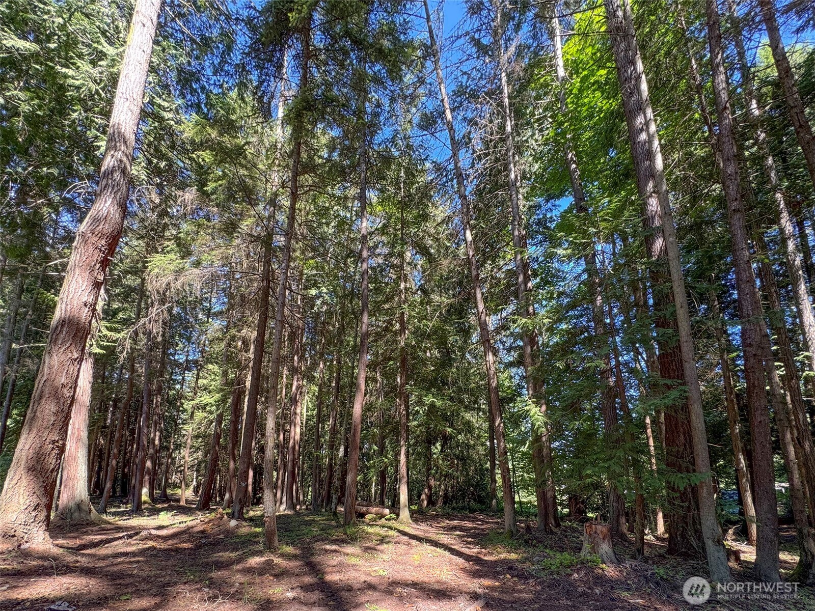 9999 N Bagley Creek Road Property Photo 23