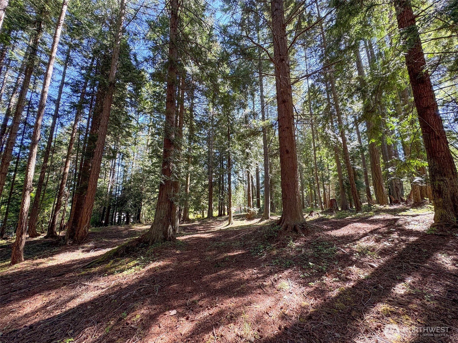 9999 N Bagley Creek Road Property Photo 24