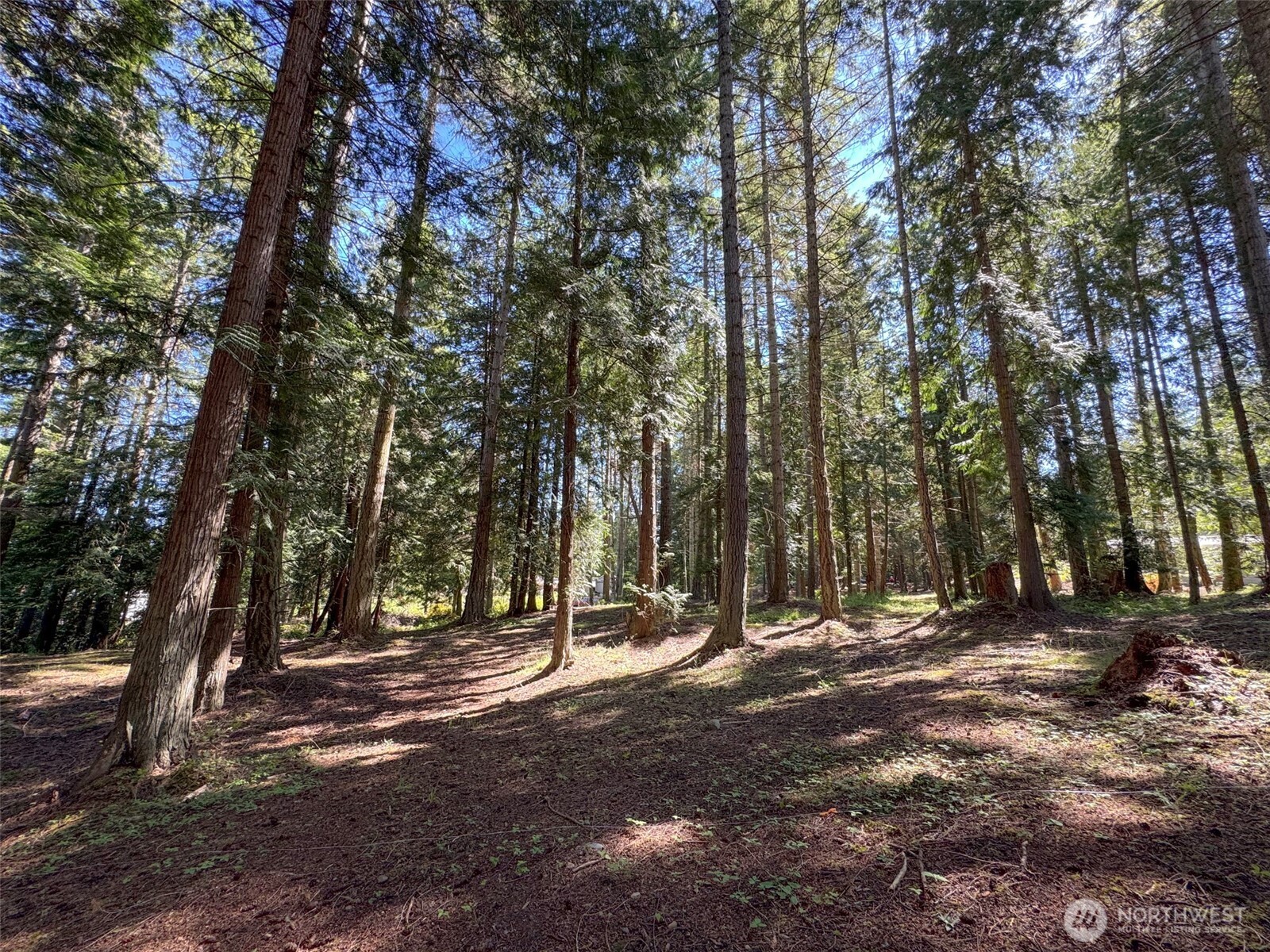 9999 N Bagley Creek Road Property Photo 25