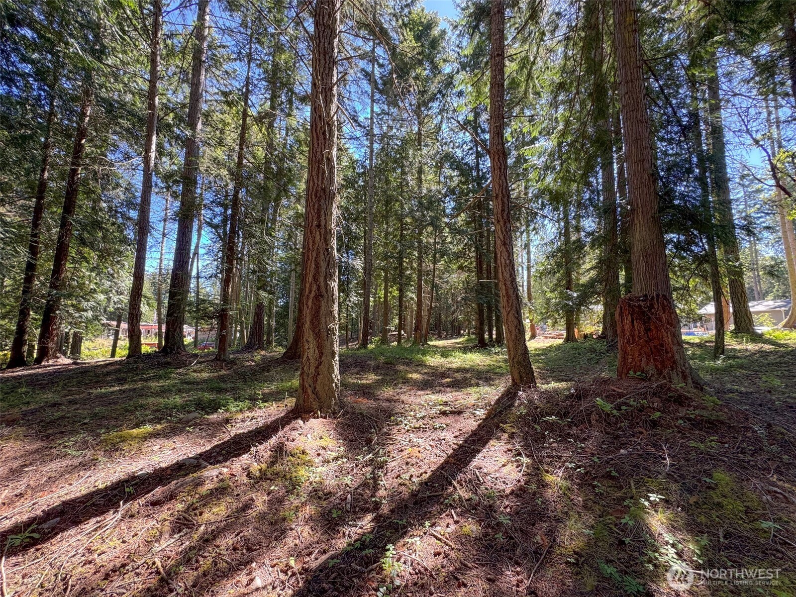 9999 N Bagley Creek Road Property Photo 26