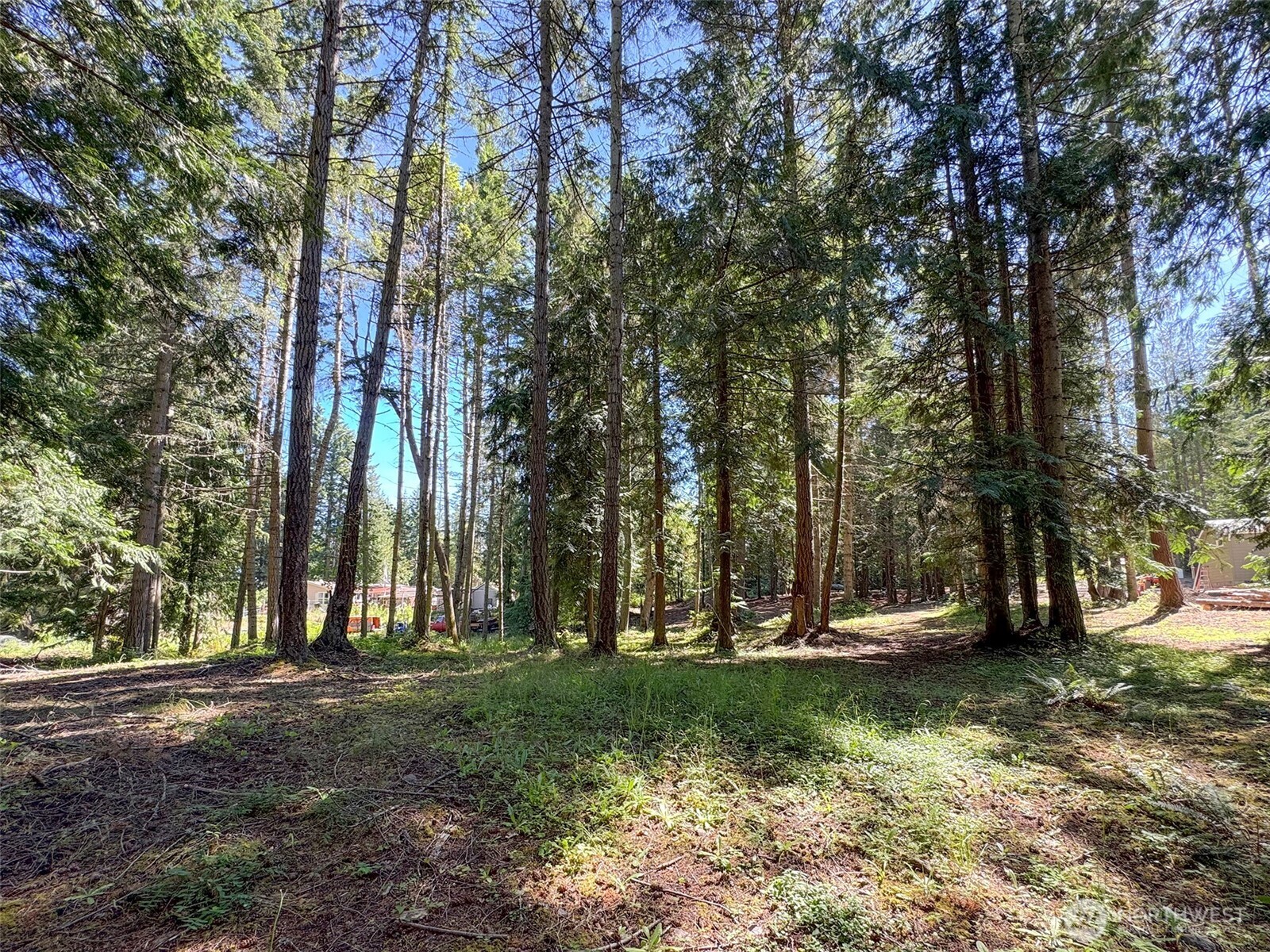 9999 N Bagley Creek Road Property Photo 27