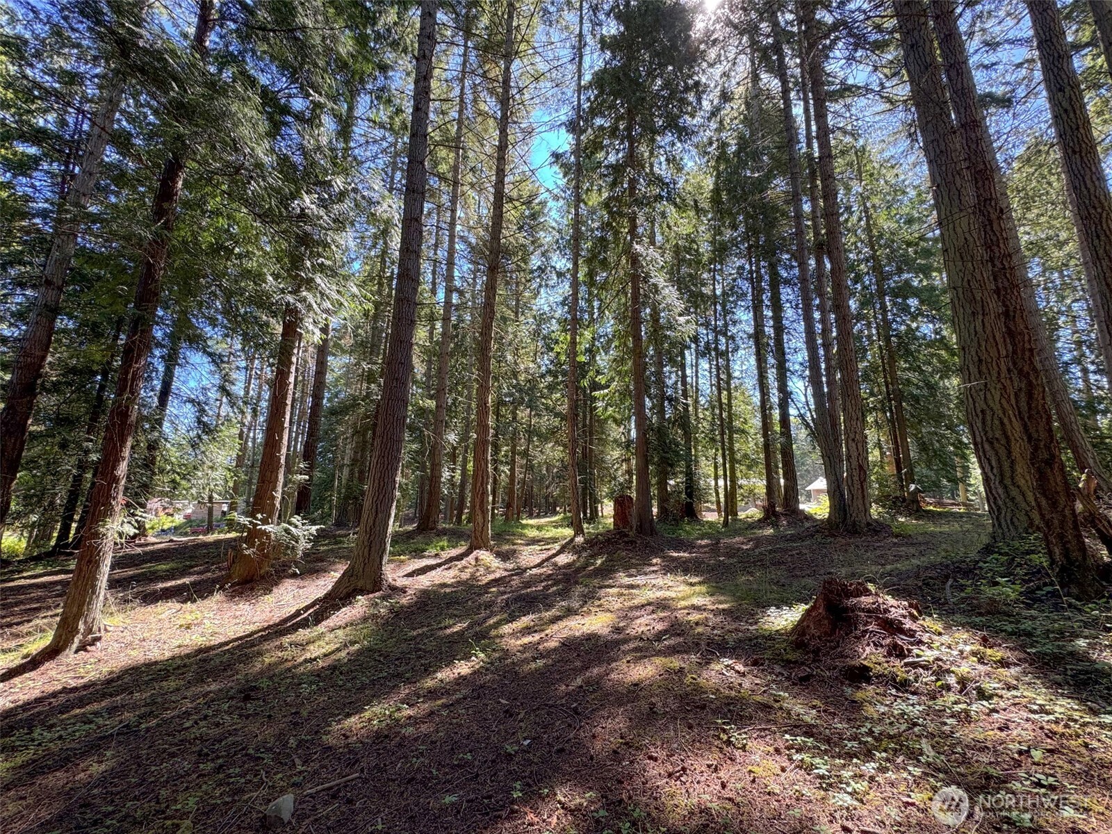 9999 N Bagley Creek Road Property Photo 29