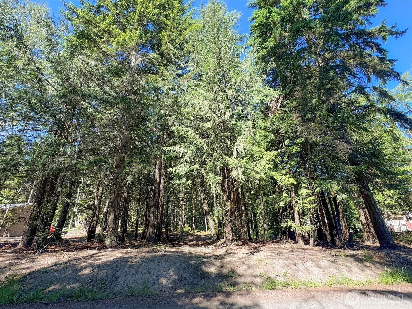 9999 N Bagley Creek Road Property Photo 30