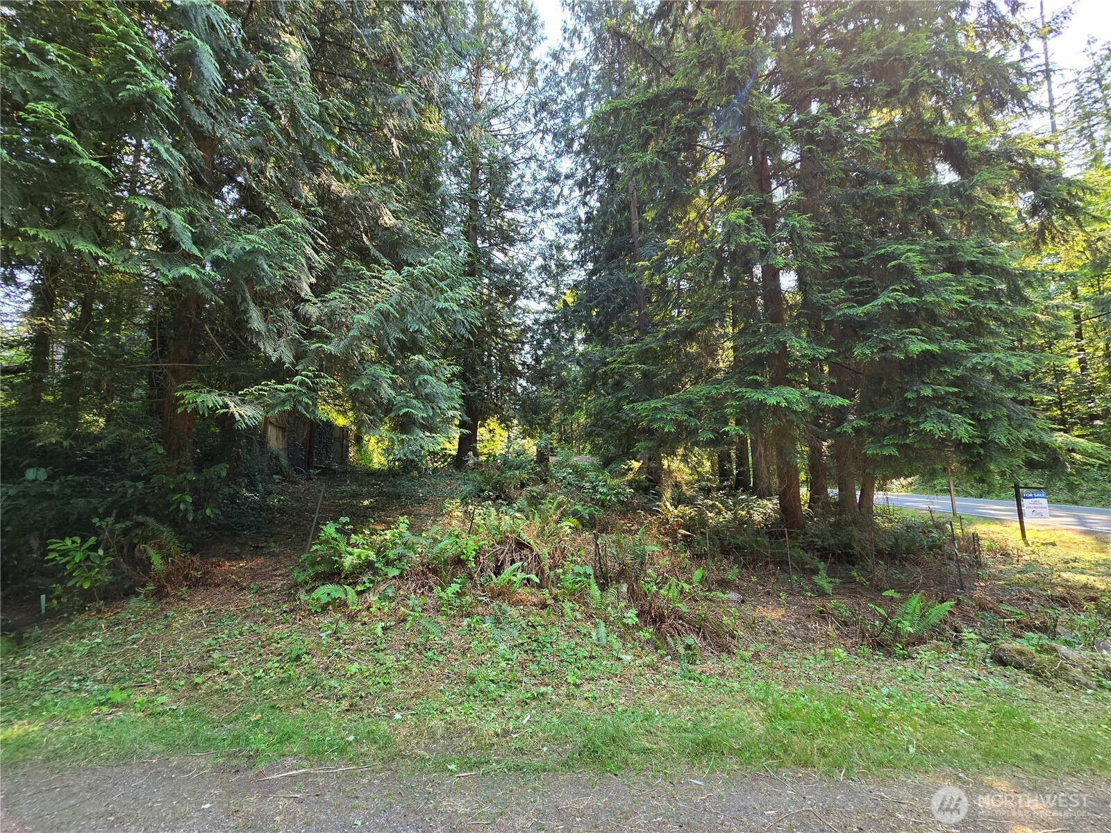 27703 Ne 35th Street Property Photo 4