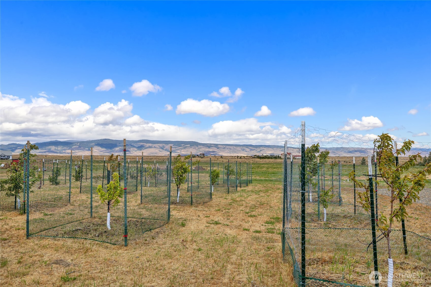 1630 Bitterbrush Drive Property Photo 11