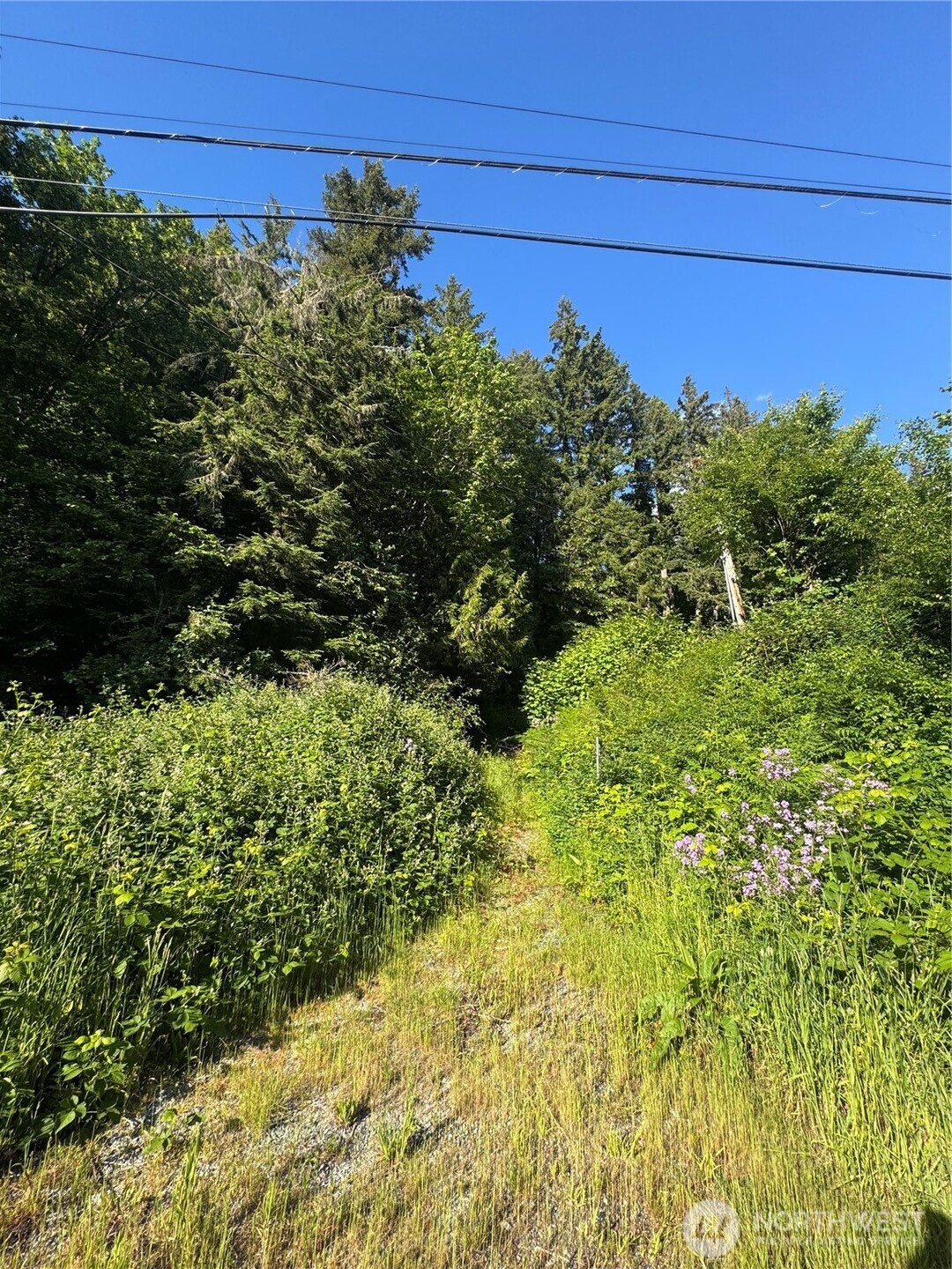 22728 Upper Dorre Don Way Property Photo 10