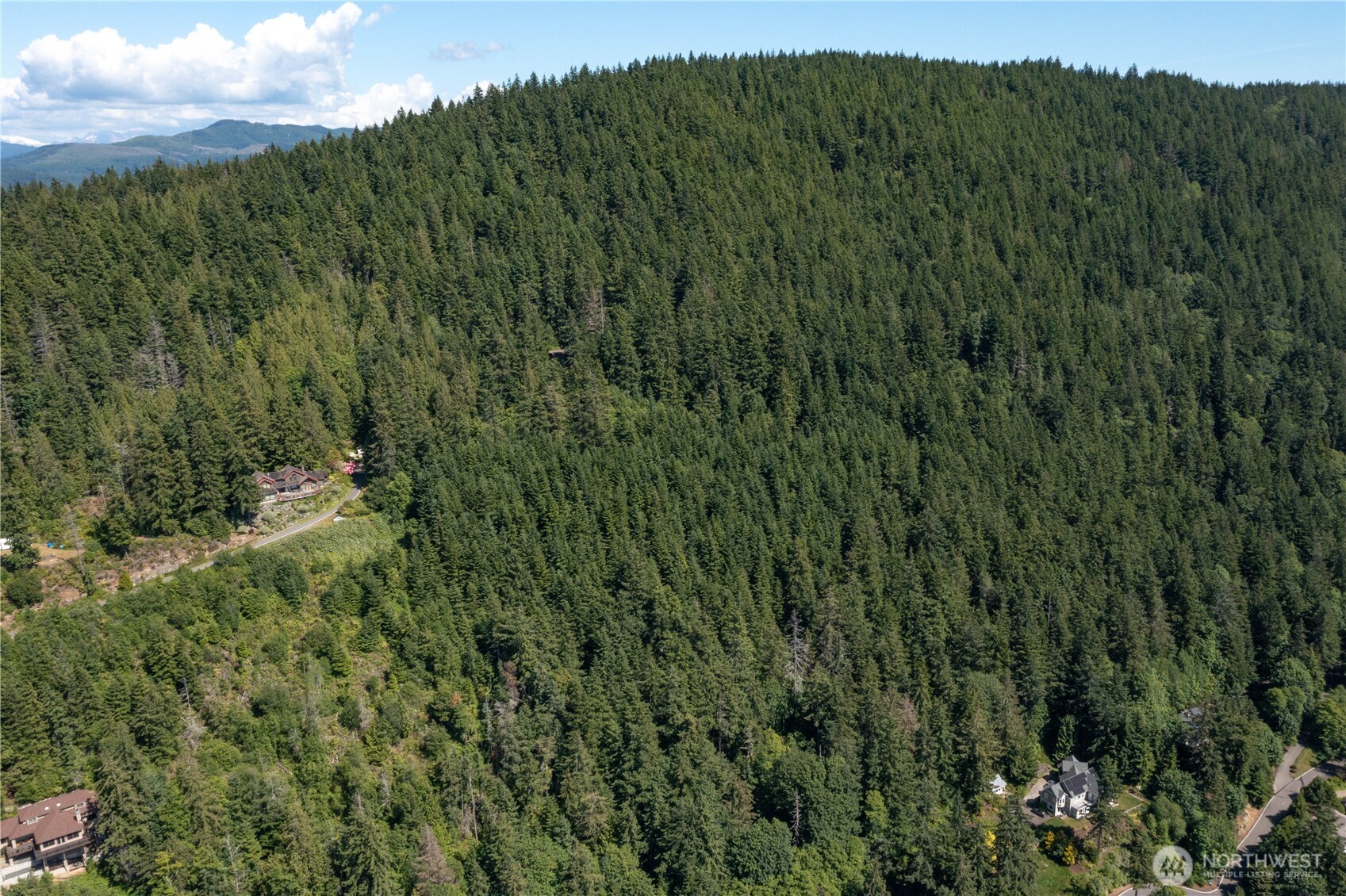 1543 Chuckanut Crest Drive Property Photo 4