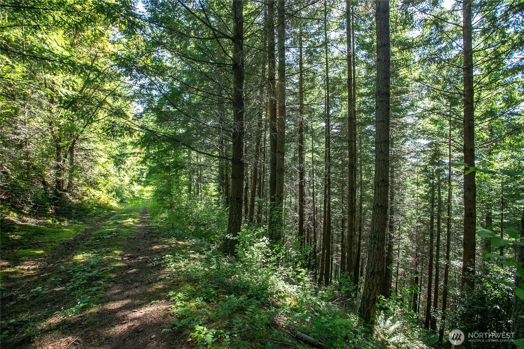 1543 Chuckanut Crest Drive Property Photo 6
