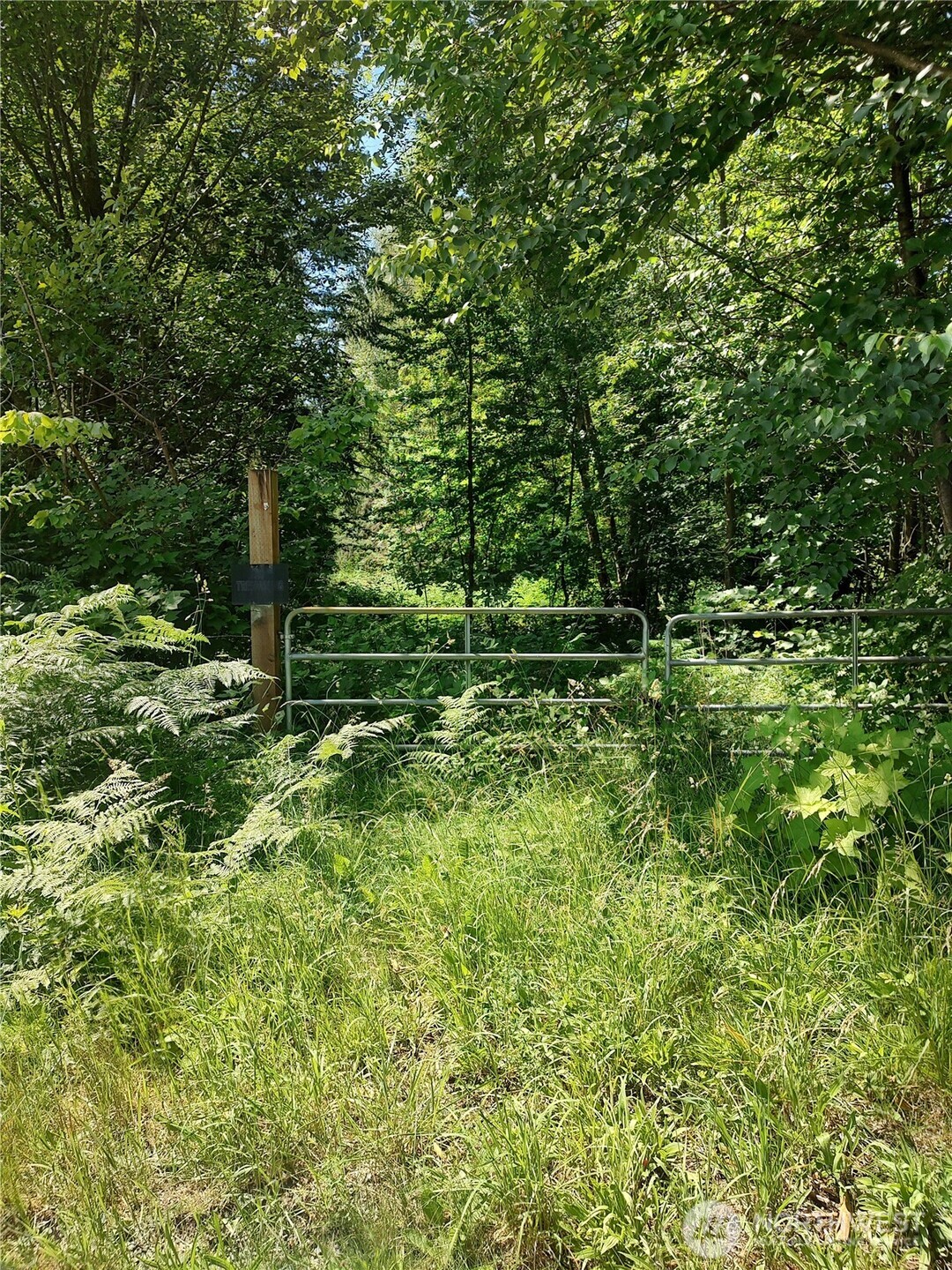 0 Custer School Road Property Photo 1