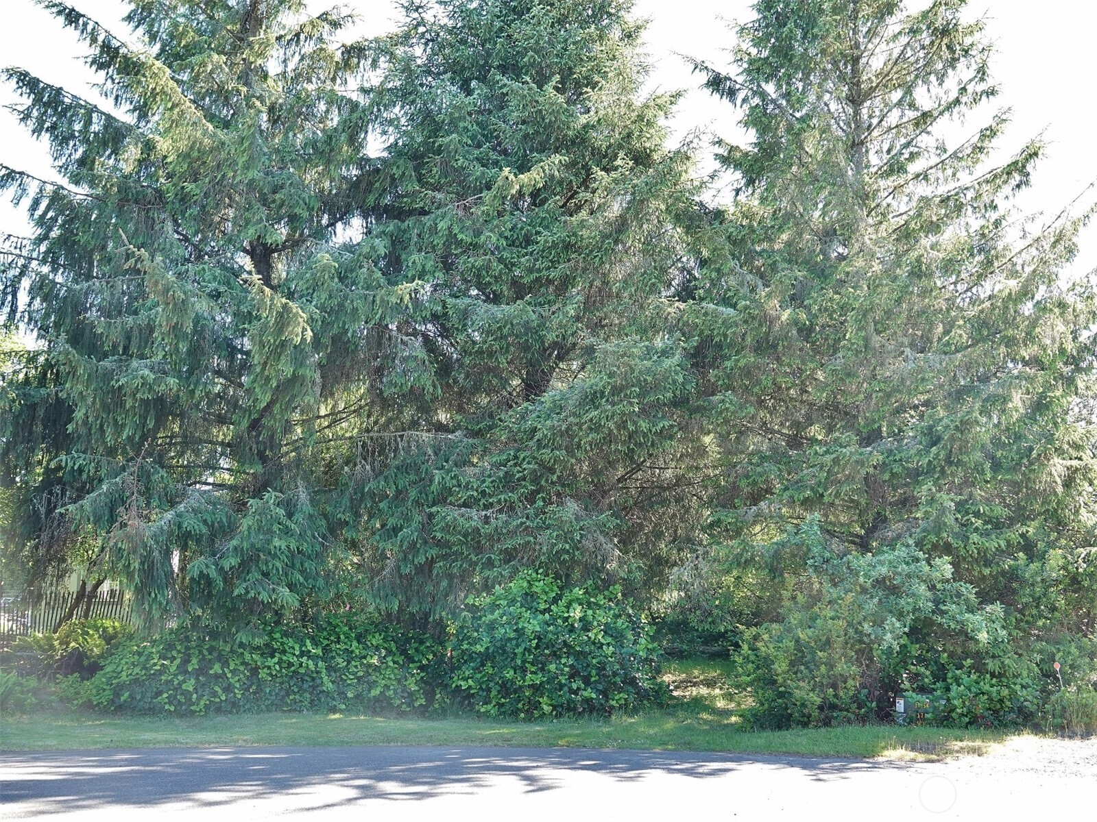 223 Muskrat Court Property Photo 1