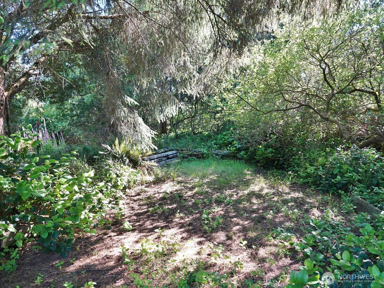 223 Muskrat Court Property Photo 3