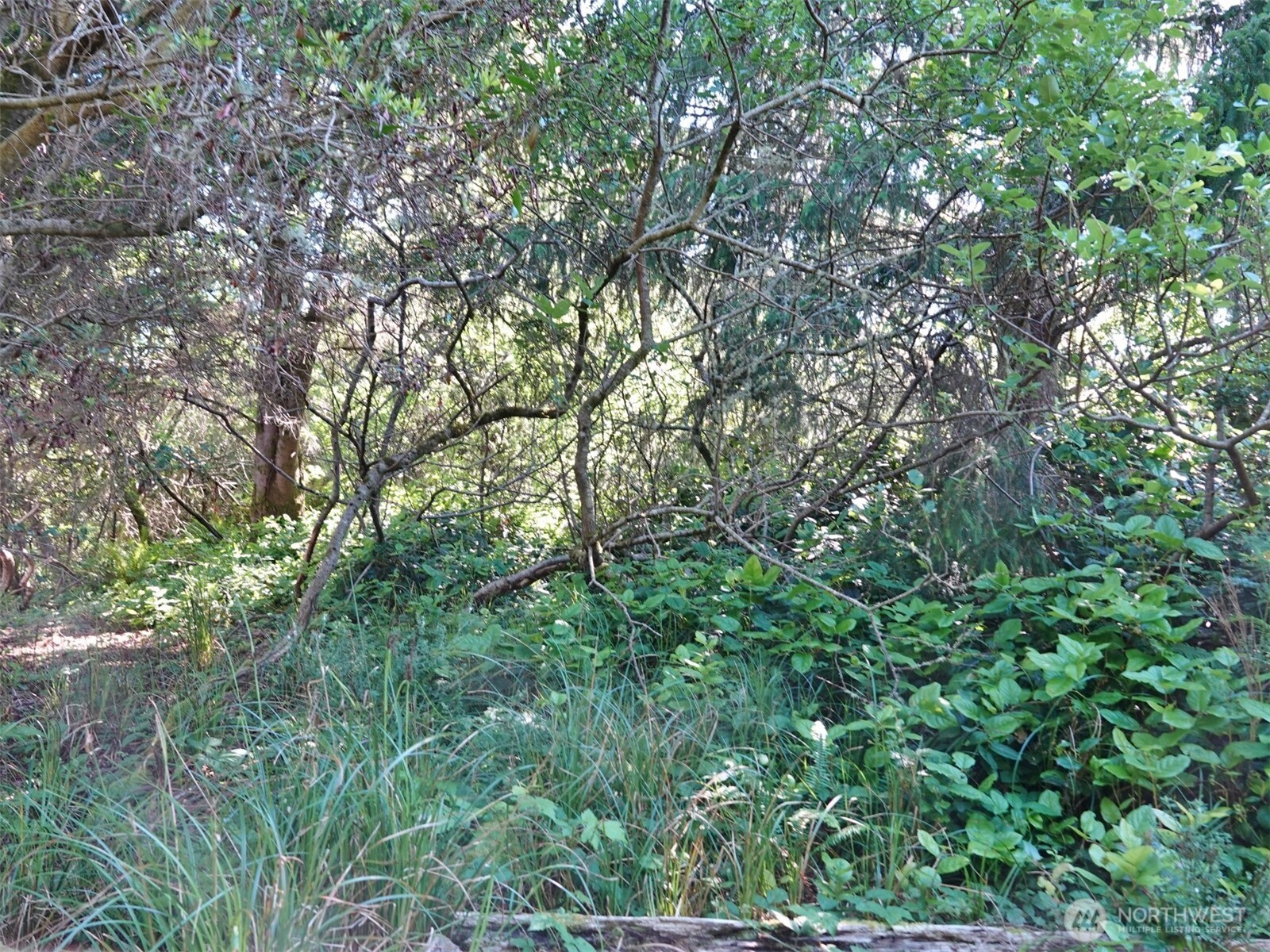 223 Muskrat Court Property Photo 4