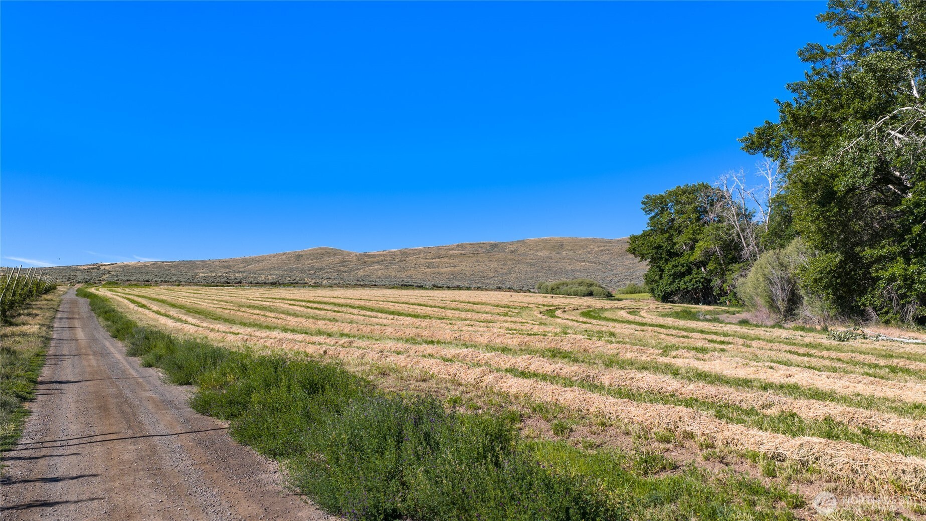 1 Borland Property Photo 3
