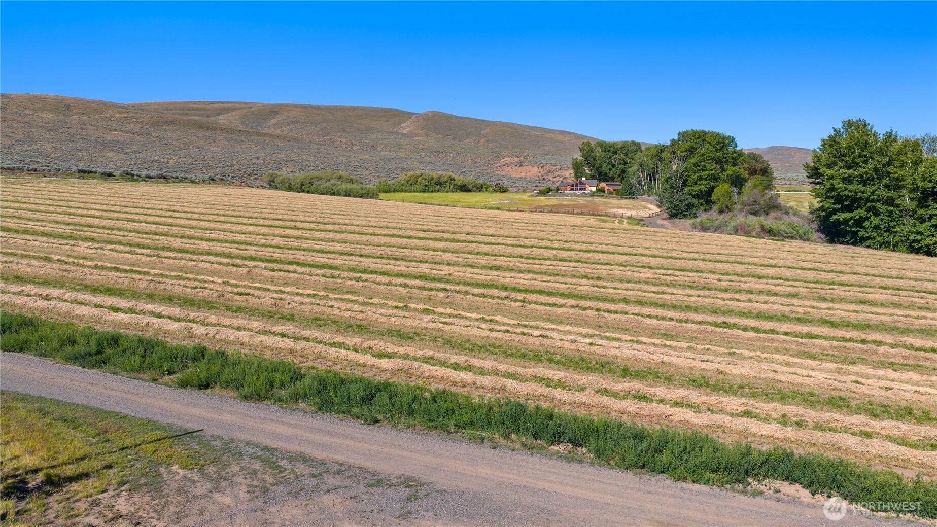 1 Borland Property Photo 4