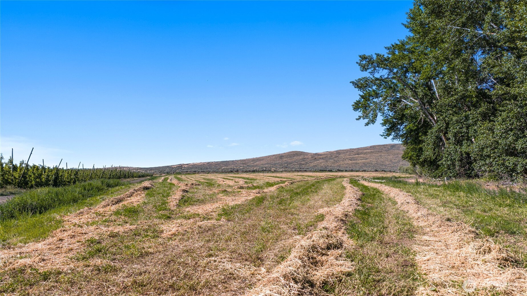 1 Borland Property Photo 6
