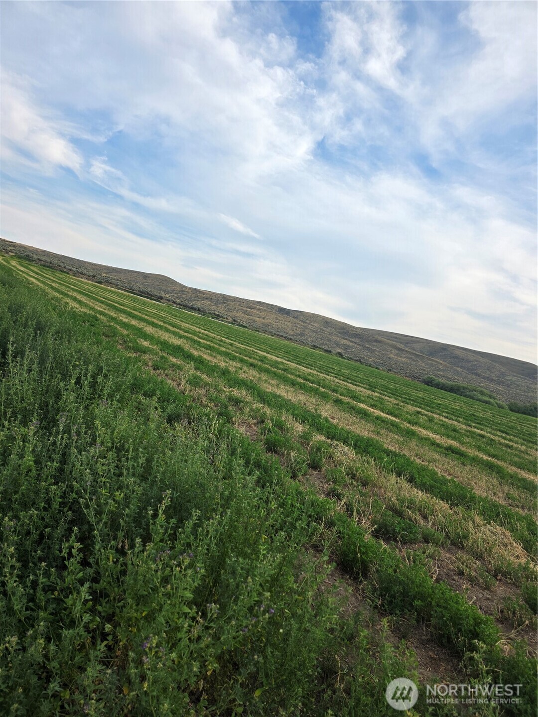2 Borland Property Photo 1