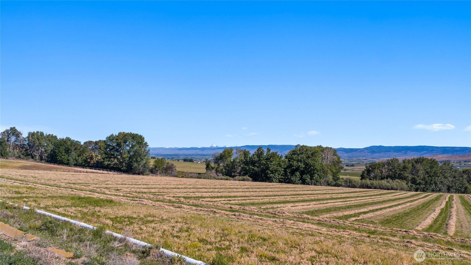 2 Borland Property Photo 3