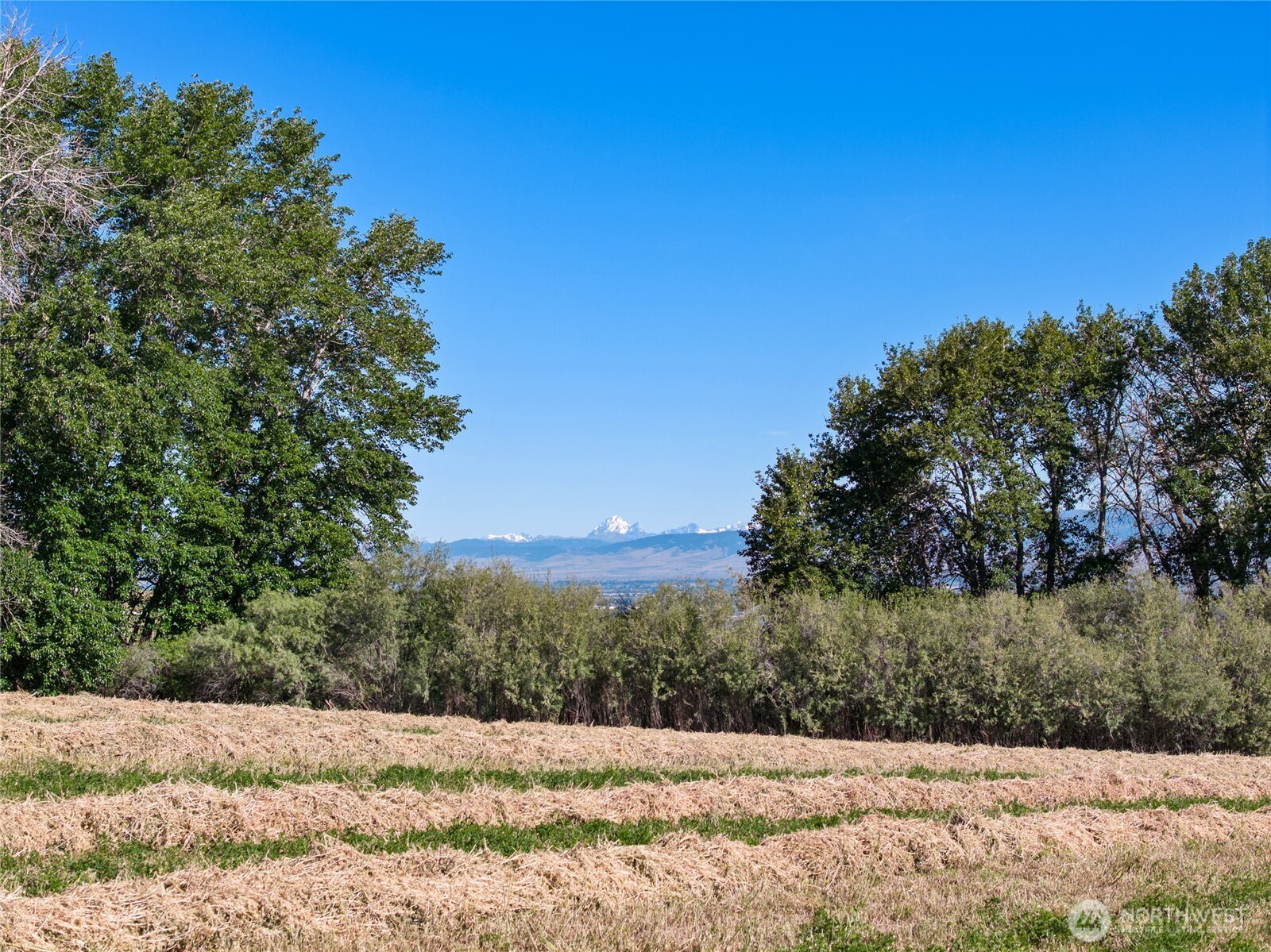 3 Borland Property Photo 6