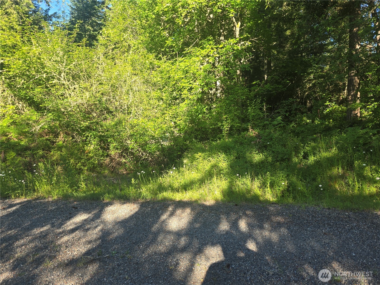 13811 Starflower Lane Property Photo 1