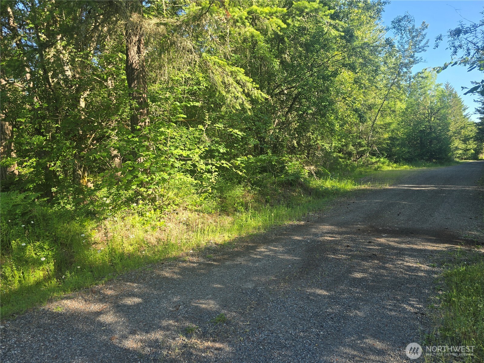 13811 Starflower Lane Property Photo 3
