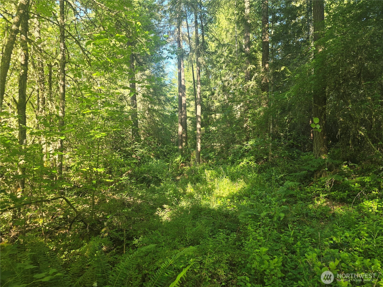 13811 Starflower Lane Property Photo 4