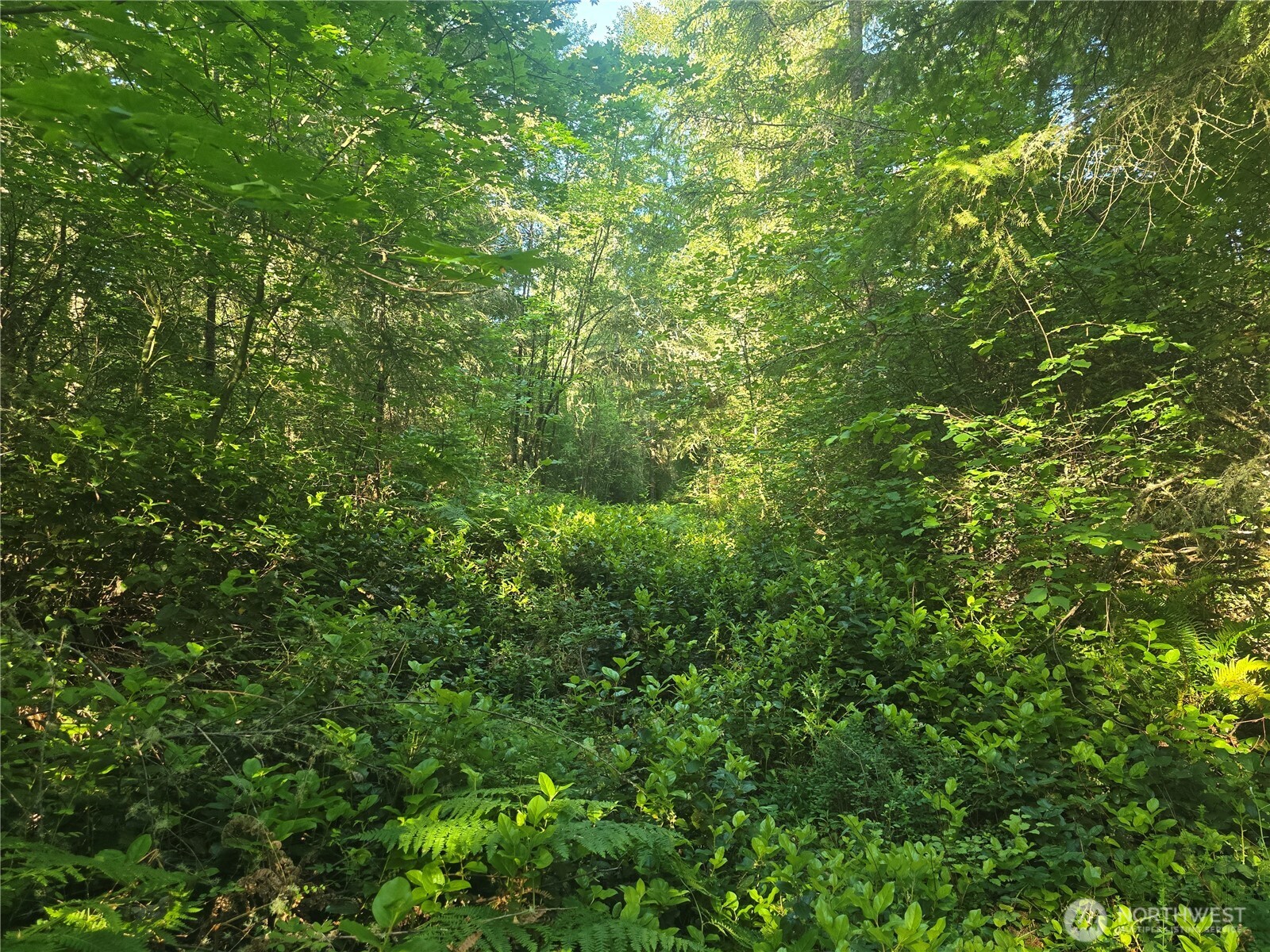 13811 Starflower Lane Property Photo 5
