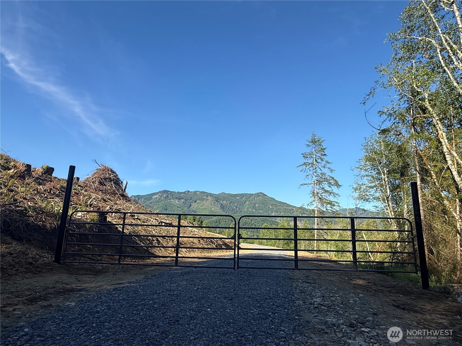 215 Mineral Road Property Photo 2