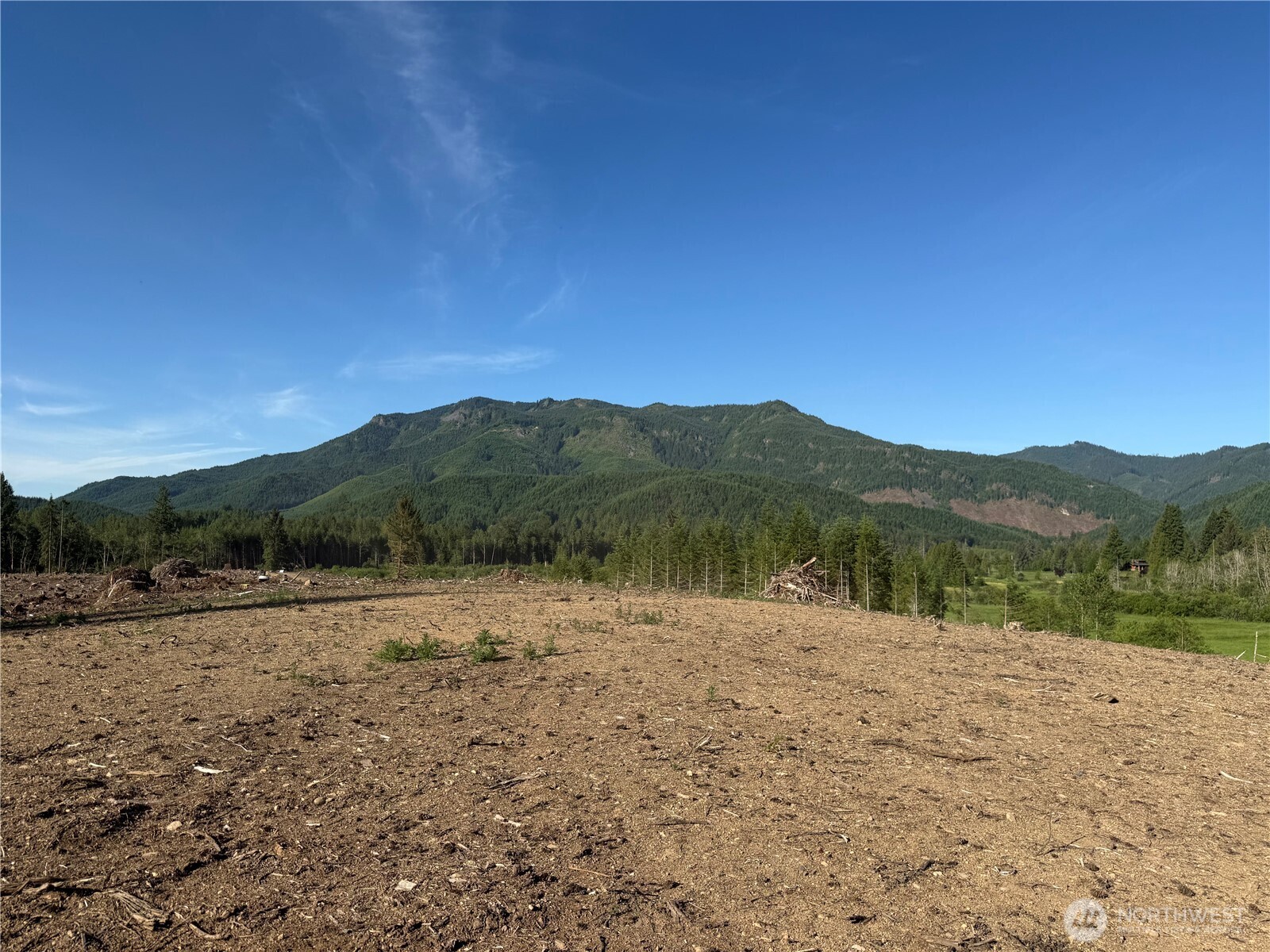 215 Mineral Road Property Photo 6